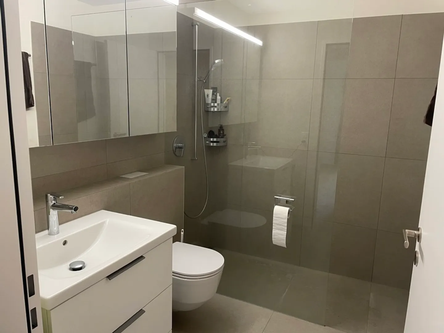 Central Apartment in Unterägeri - Photo 8 of 10