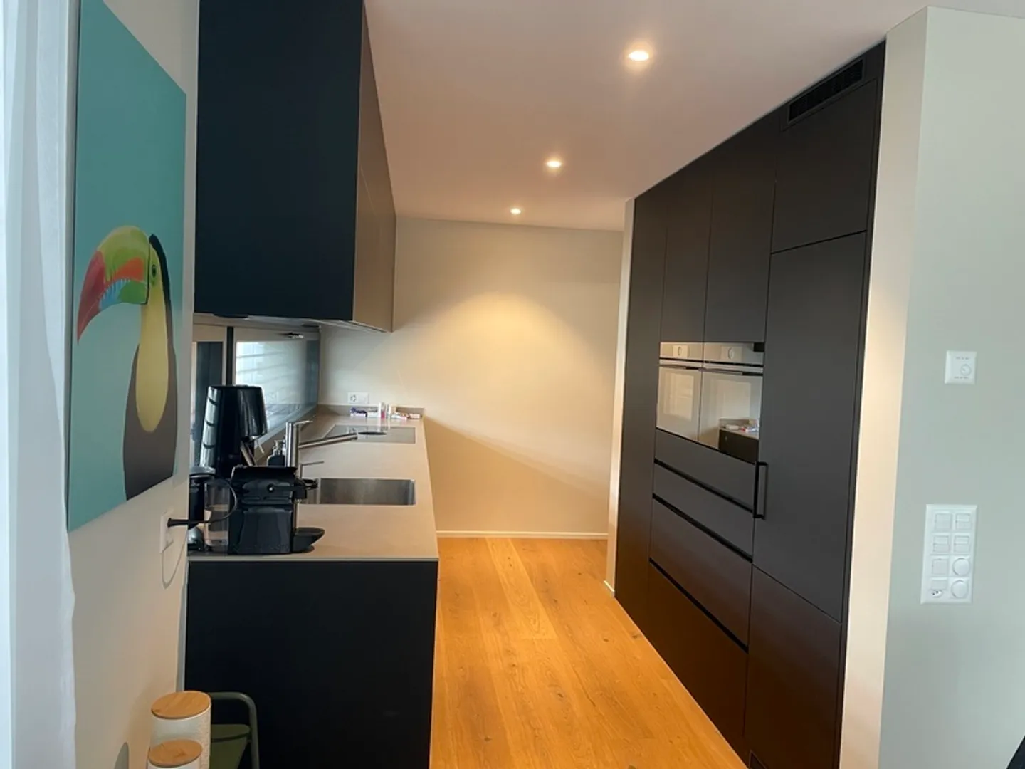 Central Apartment in Unterägeri - Photo 3 of 10