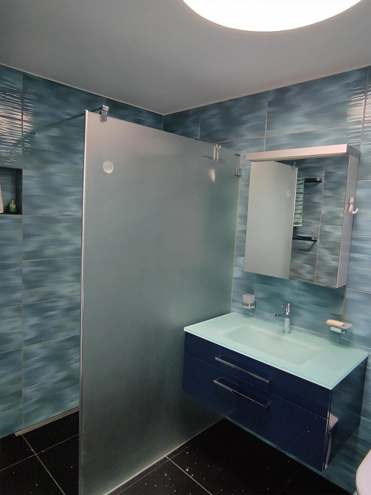 Bright, luxurious penthouse apartment in the center with lake view - Photo 5 of 7