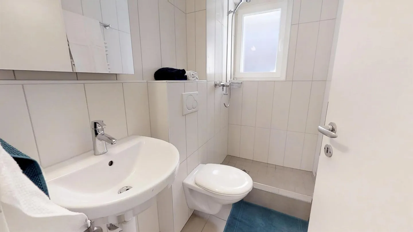 Bright 3-room apartment in Allschwil - Photo 9 of 13