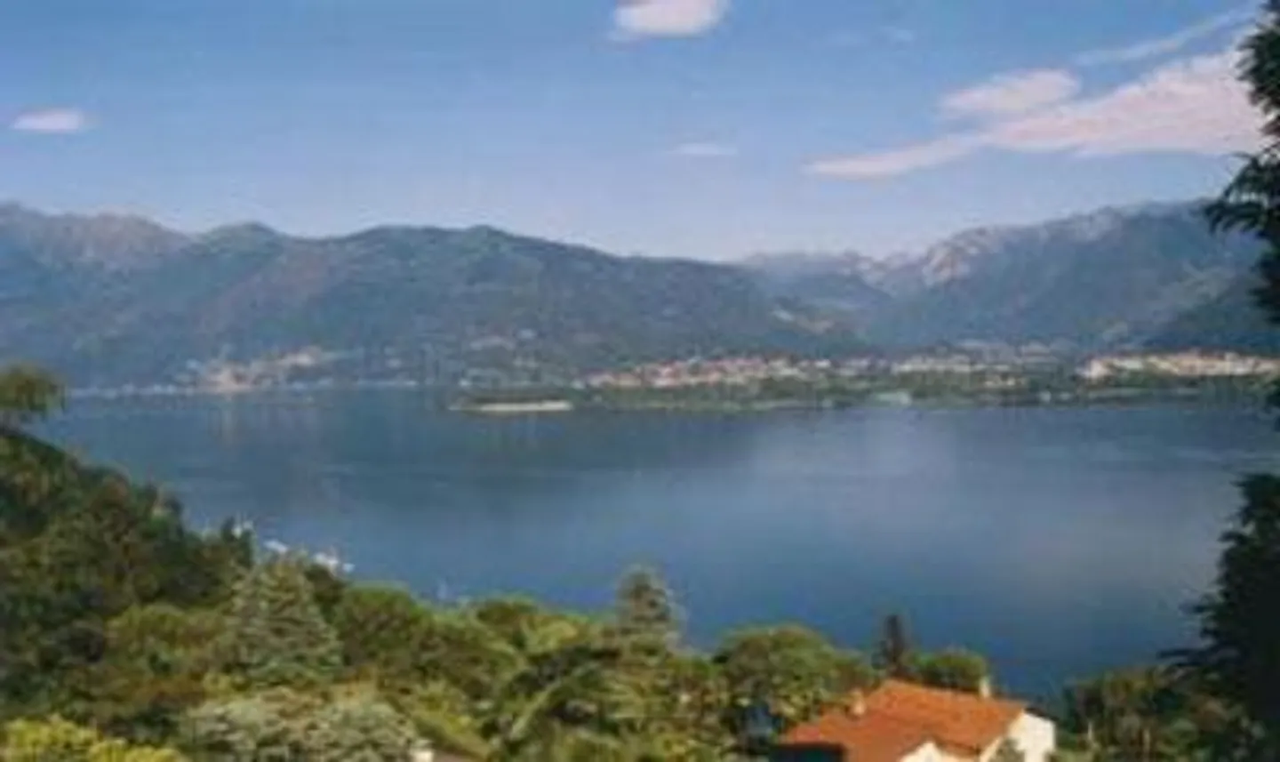 Terreno edificabile di 894 m2 e 848 m2 bosco - Foto 1 di 5