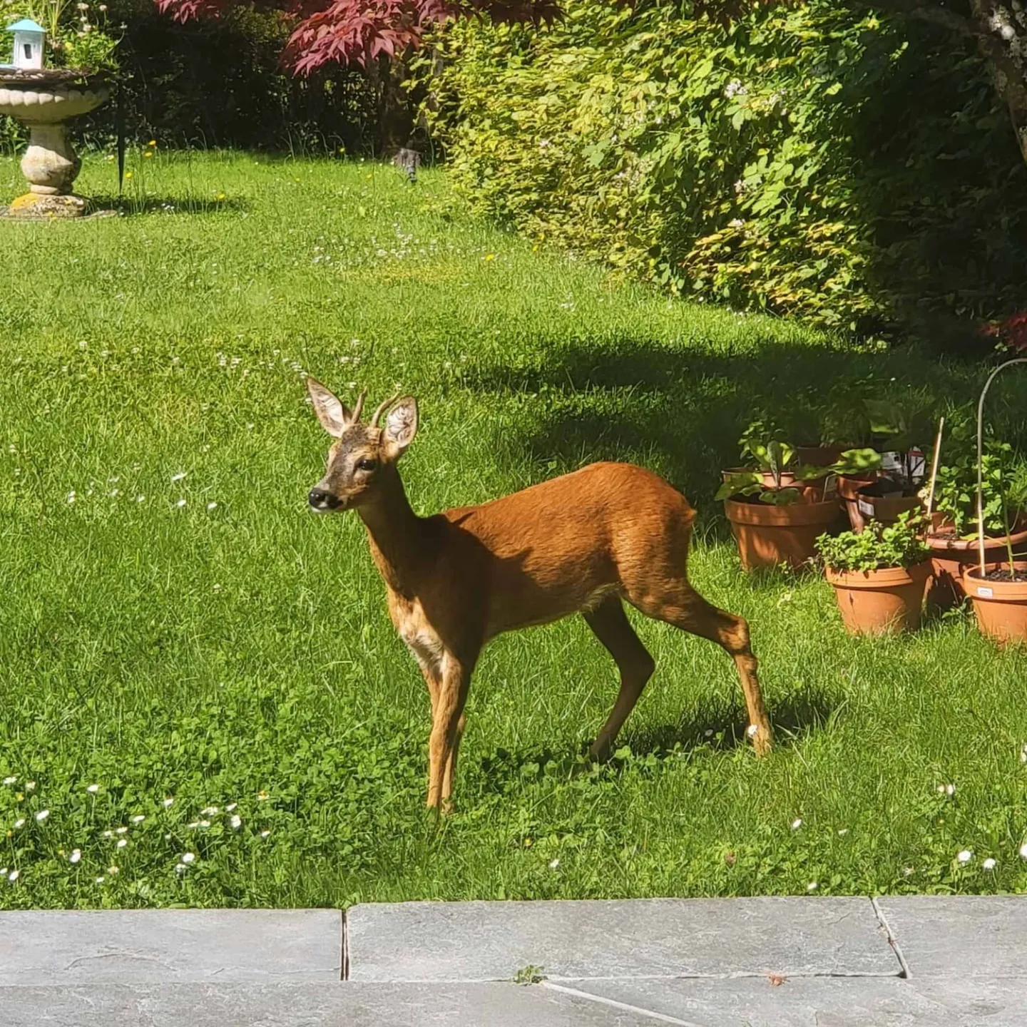 Prächtige Architektenvilla mit Blick auf den See - Foto 13 von 13