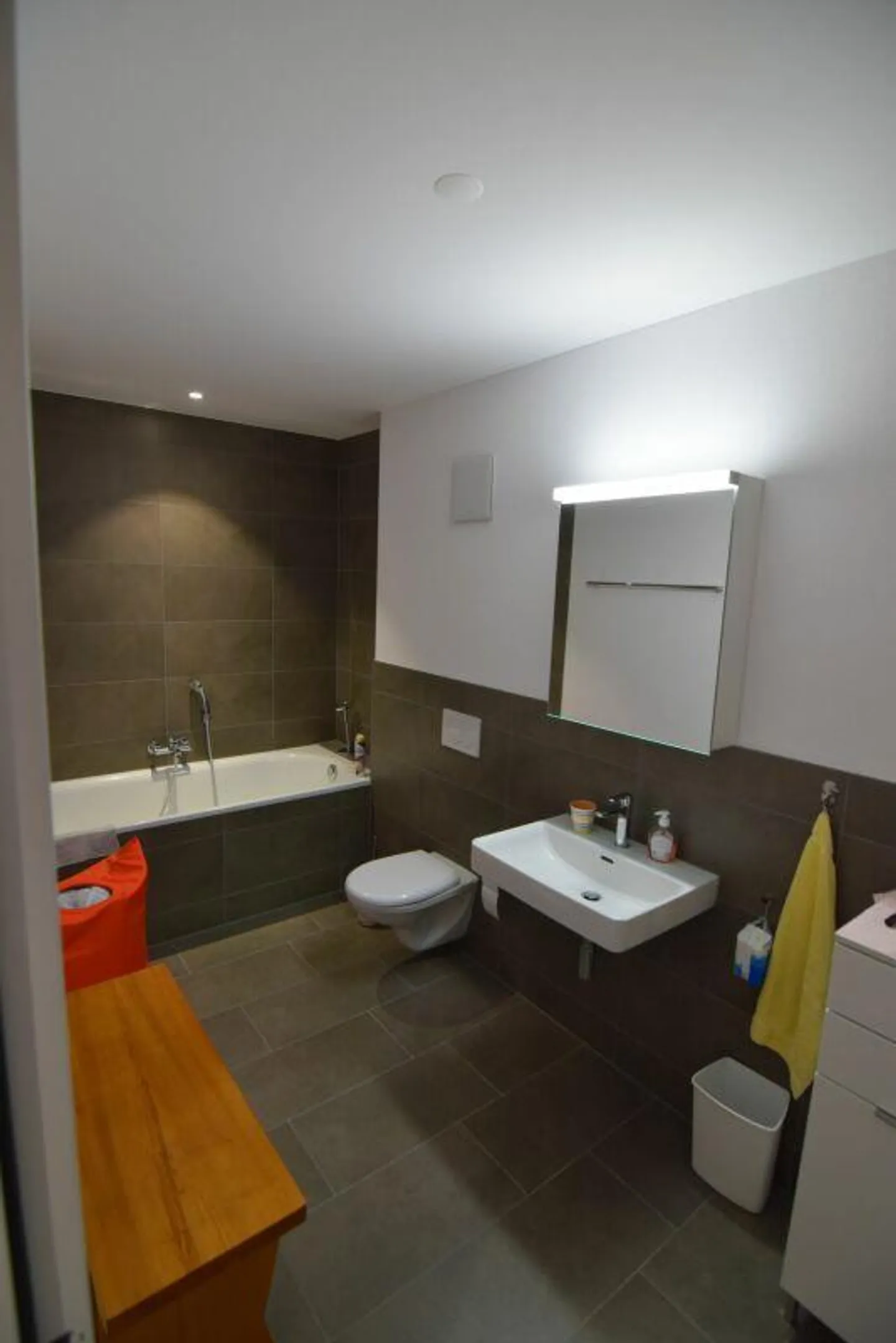 Modernes Apartment im Zentrum Steckborn - Foto 5 von 9