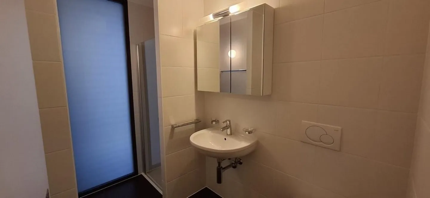 Magnifico duplex luminoso di 5,5 stanze con terrazza e soppalco - Foto 6 di 8