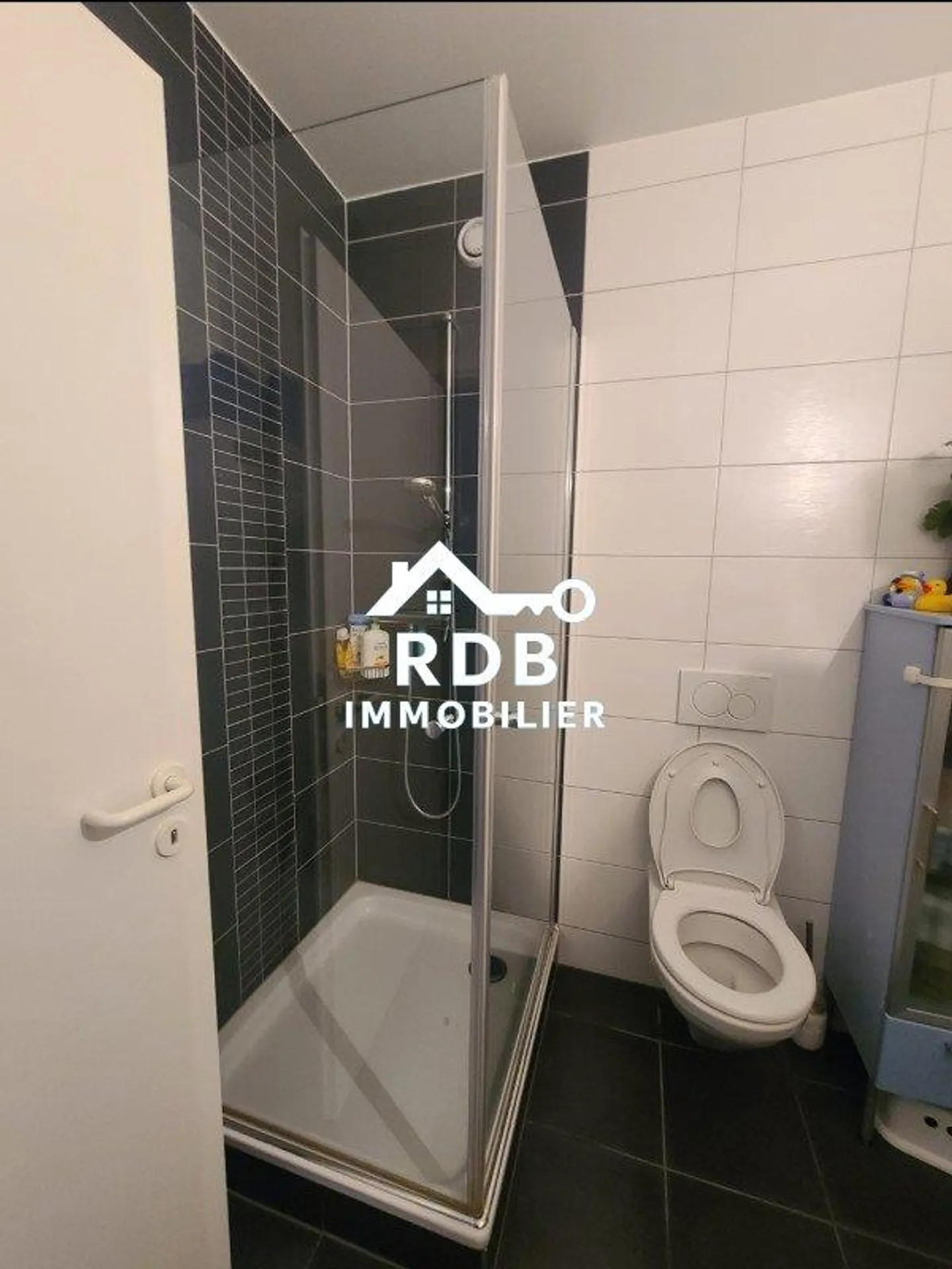 Helles 5-Zimmer-Apartment in Petit-Lancy - Foto 9 von 10