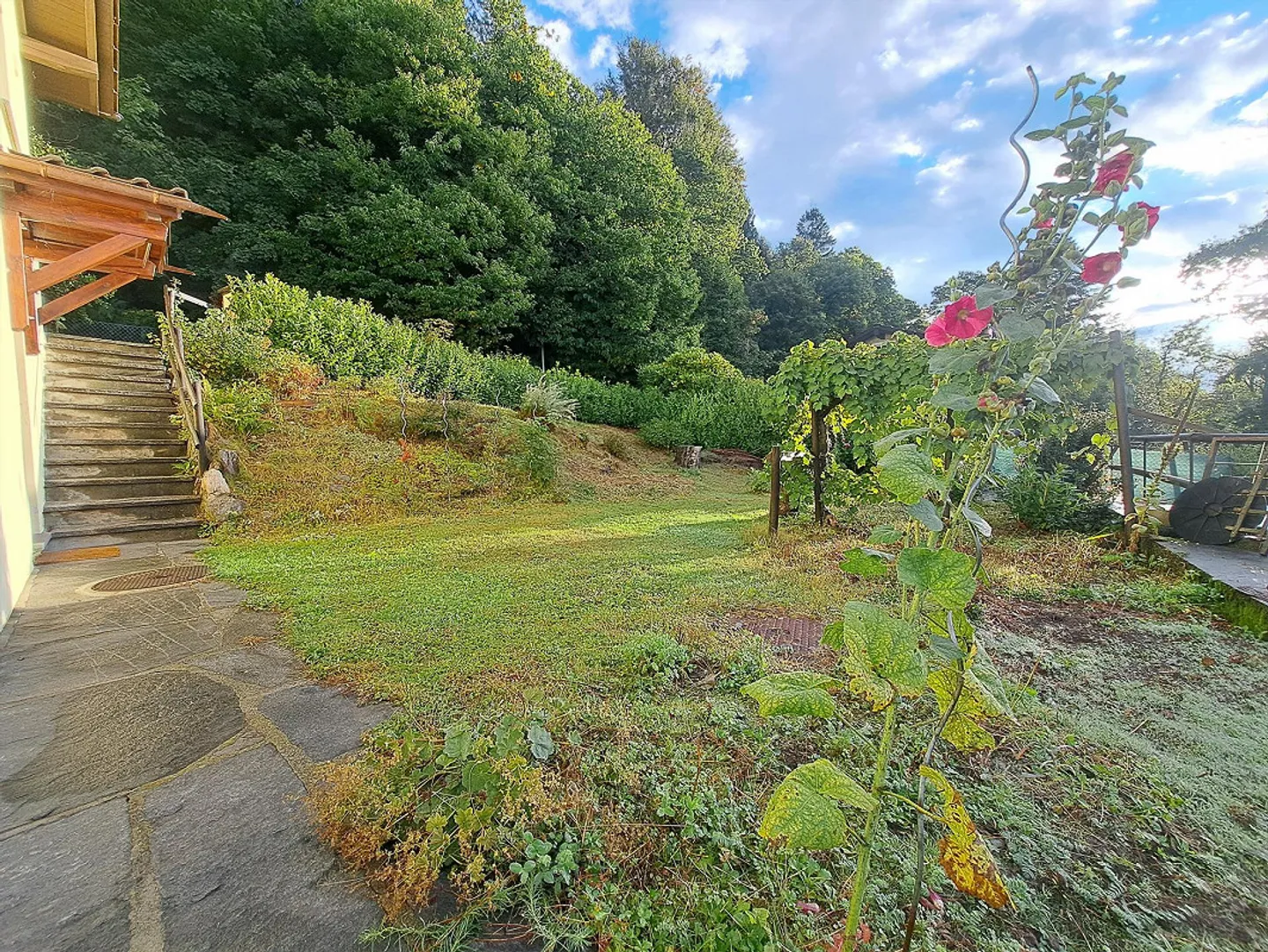 Lots of Sun, Large Garden and Phenomenal View - Photo 3 of 11