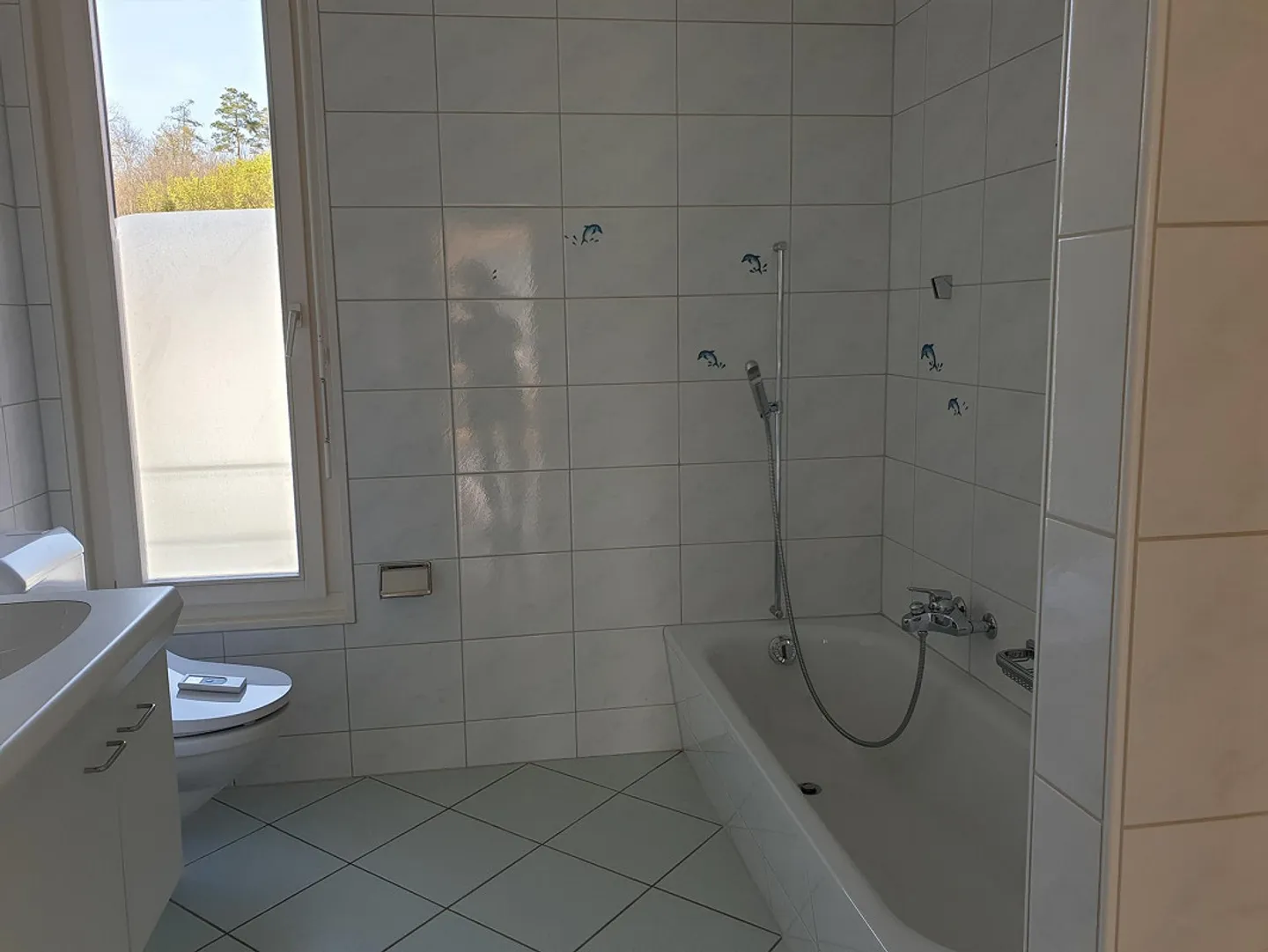 Attico a Muri vicino a Berna - Foto 7 di 9