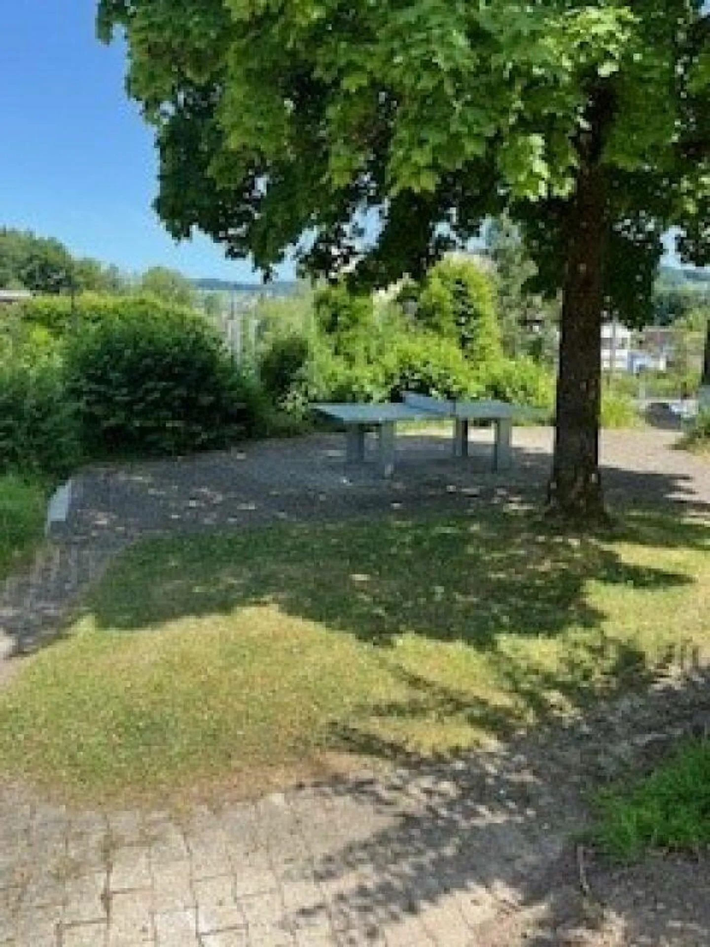 Charmante Gartenwohnung in Abtwil - Foto 5 von 10