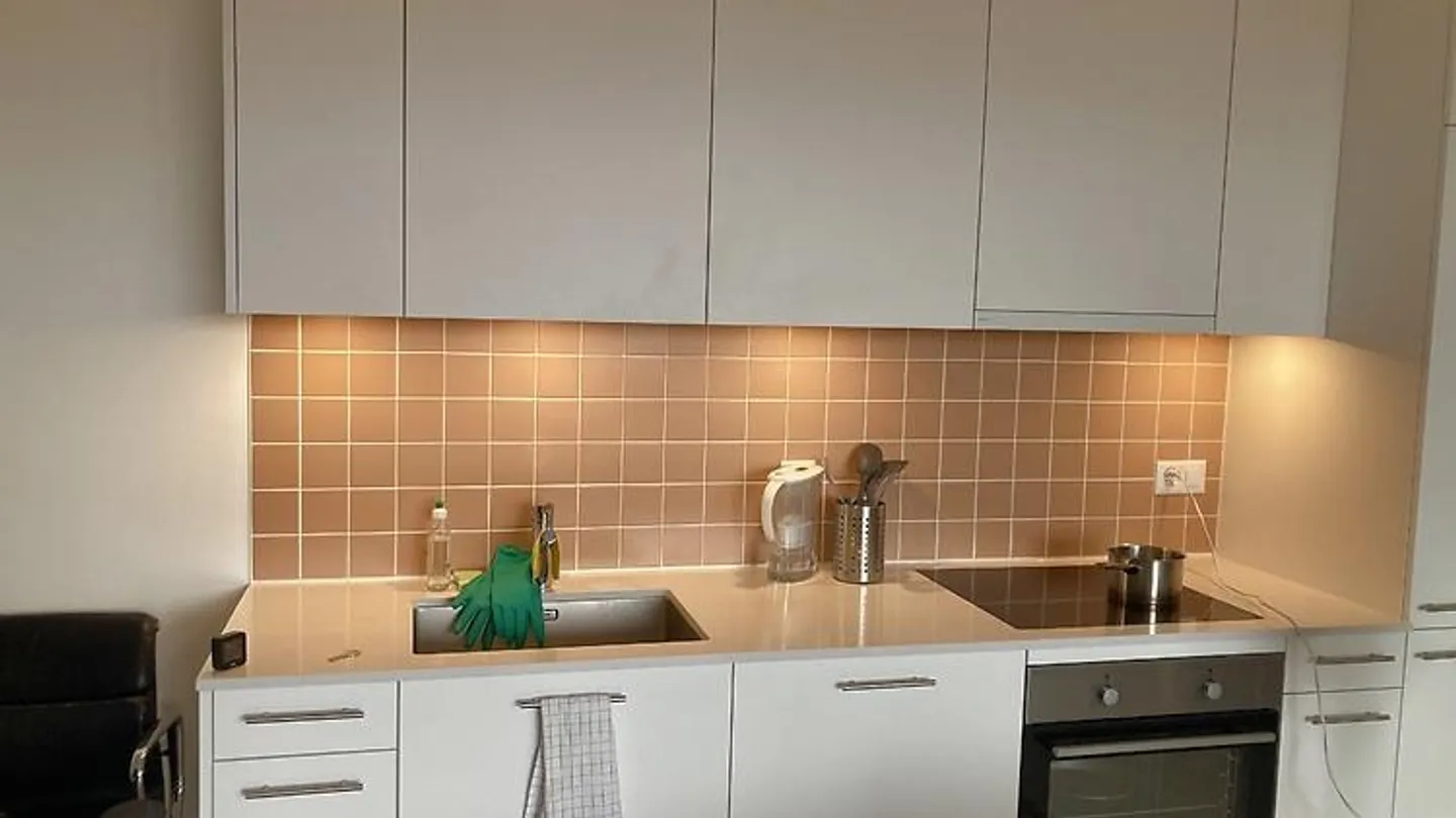2½ ZIMMER WOHNUNG IN CAROUGE (GE), MÖBLIERT, BEFRISTET - Foto 5 von 8