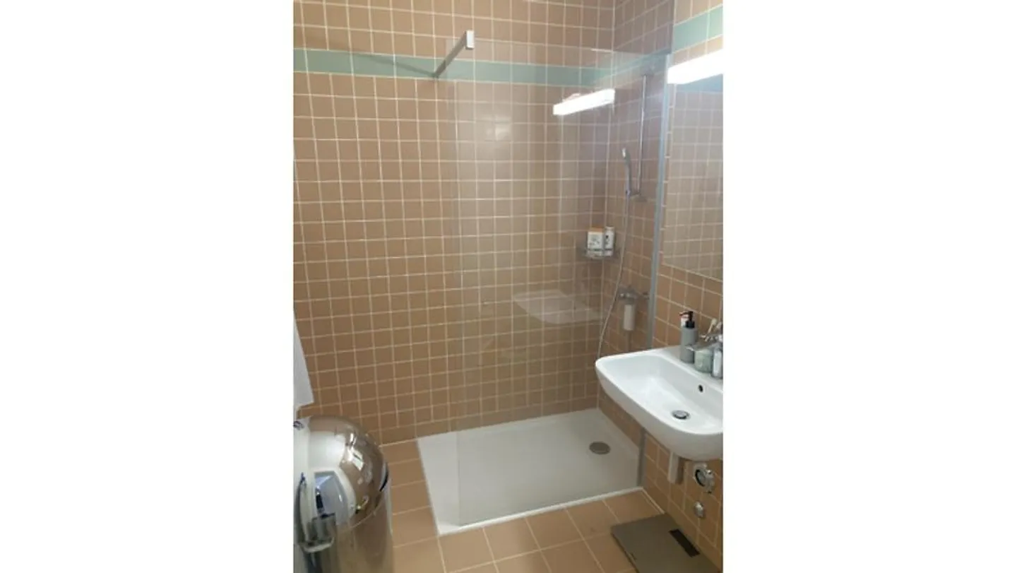 2½ ZIMMER WOHNUNG IN CAROUGE (GE), MÖBLIERT, BEFRISTET - Foto 8 von 8