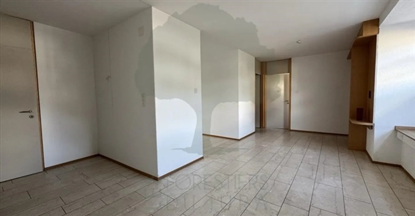 Medical Office 5.5 Rooms - Photo 5 of 13