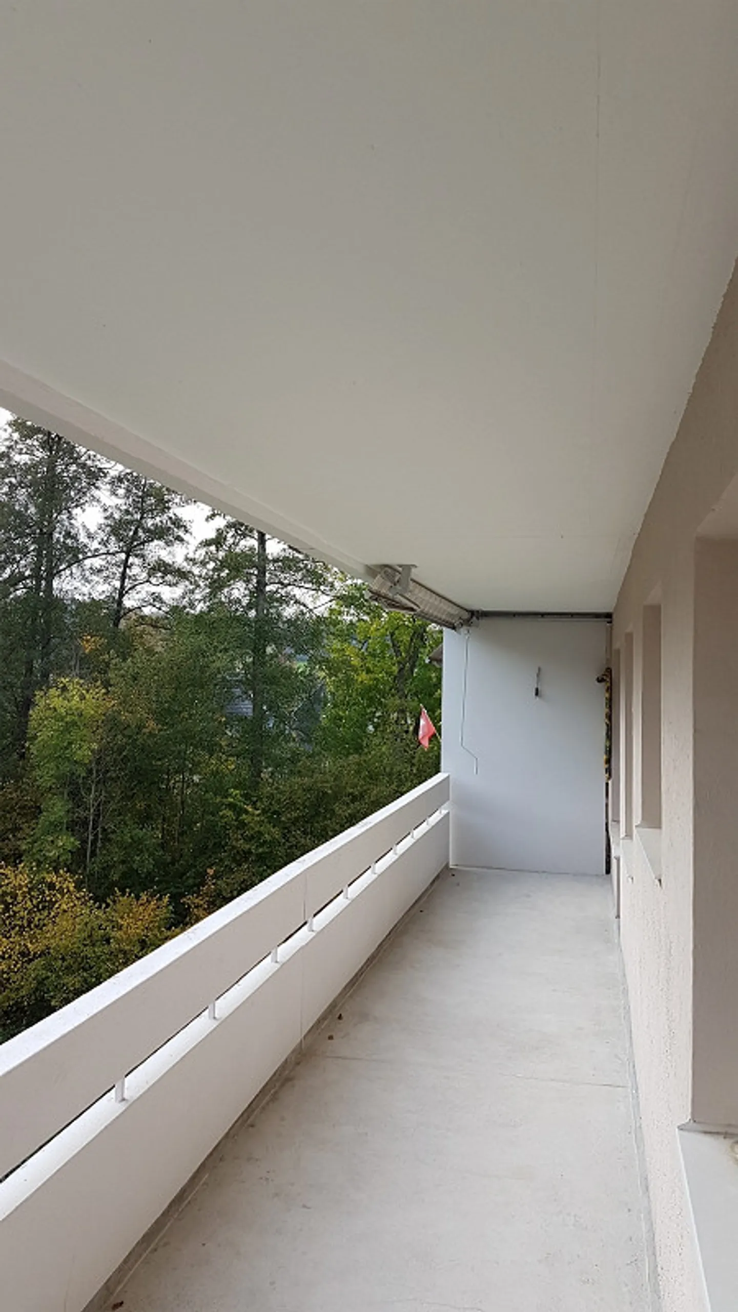 Appartamento 2 1/2 locali con vista sul verde - Foto 5 di 6