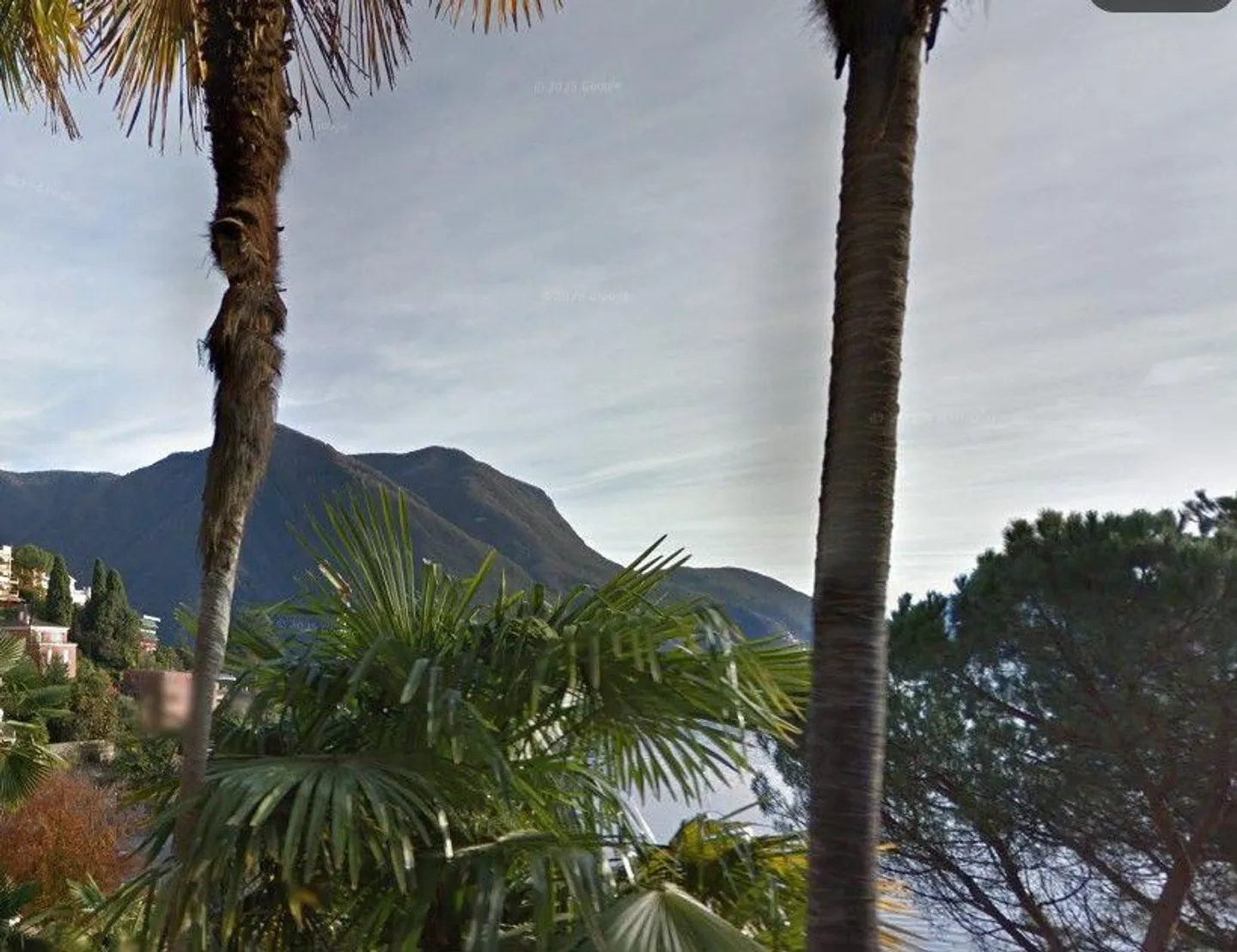 Appartamento in affitto - Foto 4 di 13