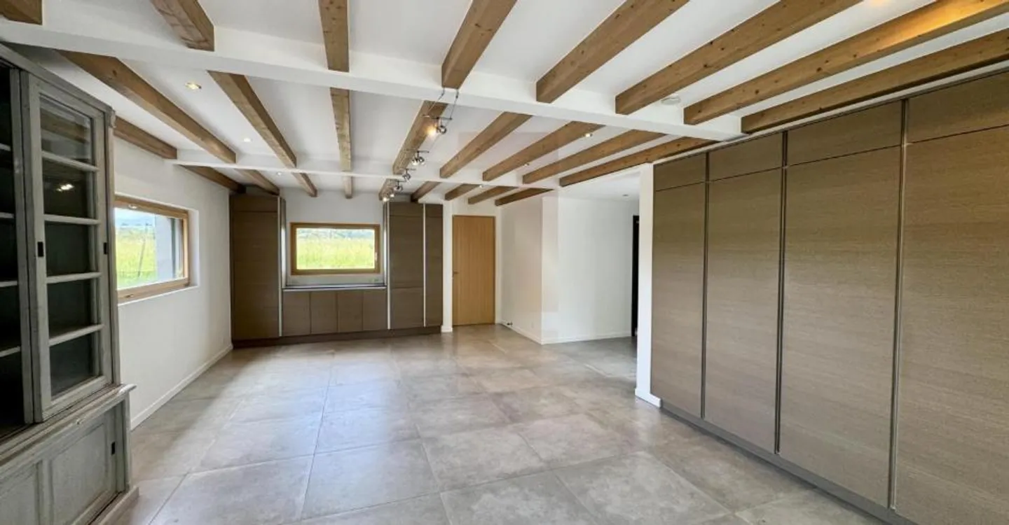 Schöne zeitgenössische Villa im Herzen der Genfer Landschaft - Foto 1 von 12