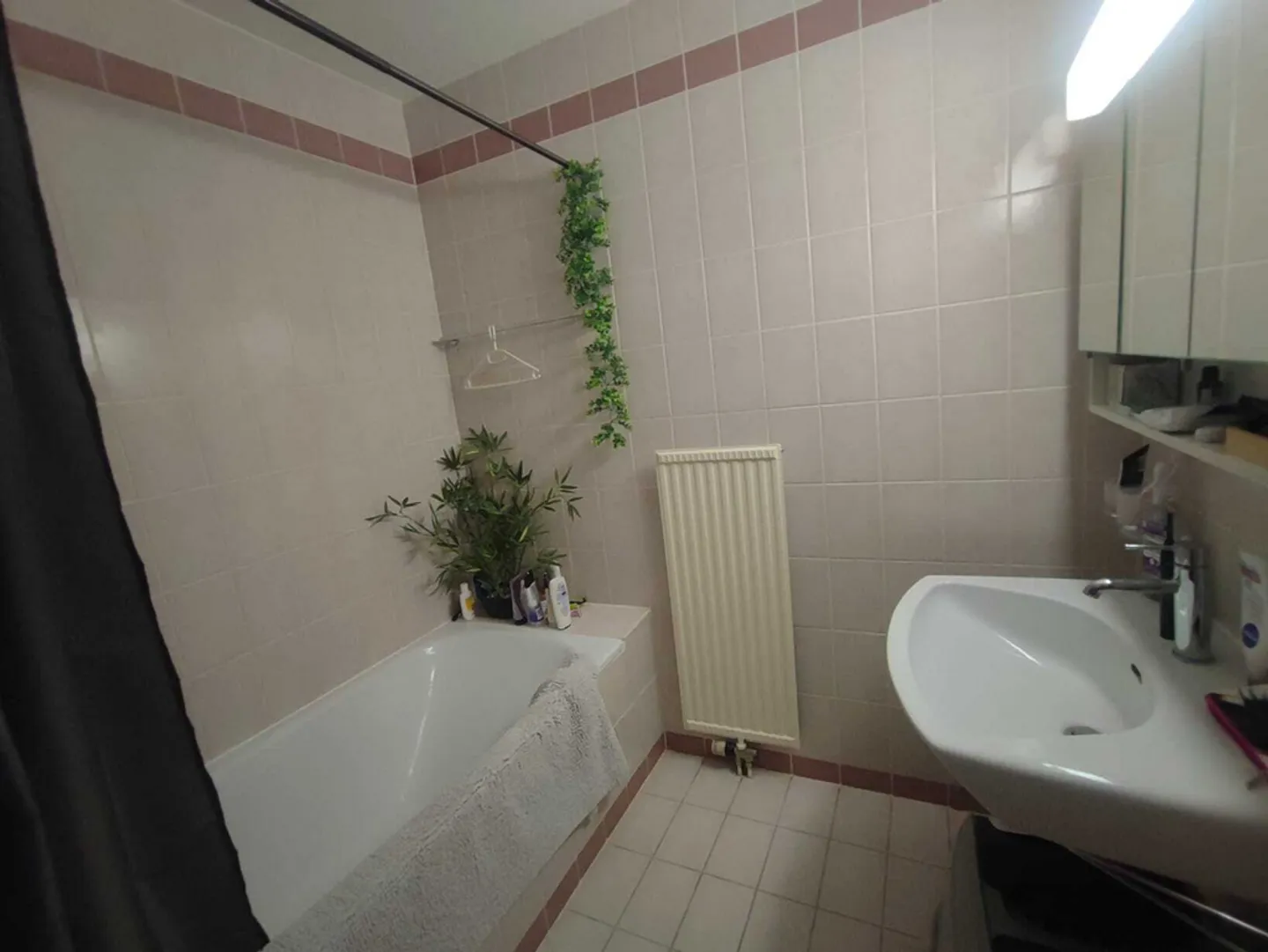 Geräumige und helle Wohnung - Foto 9 von 10