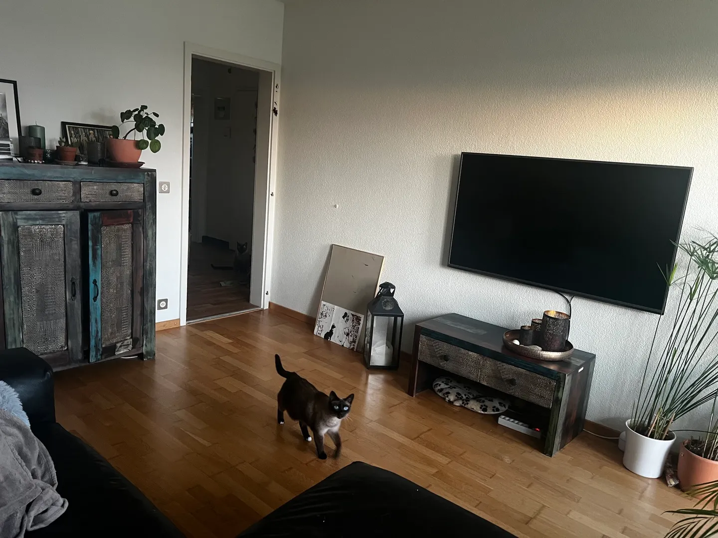 Appartement lumineux dans un quartier calme - Photo 1 sur 5