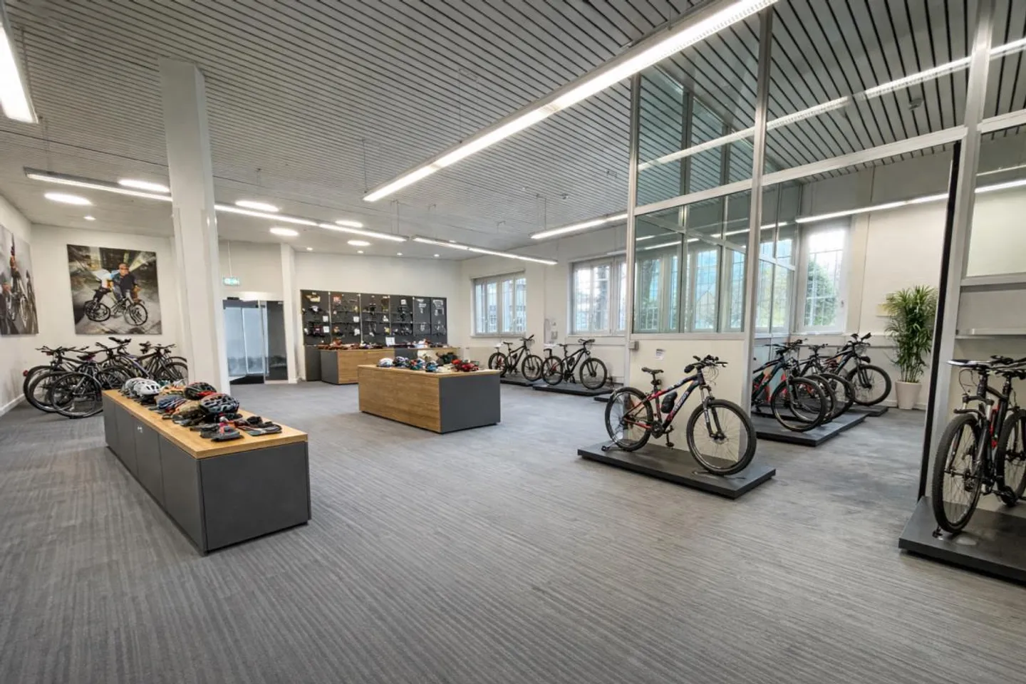 Flexible space on the ground floor, approx. 226 m² - Photo 1 of 9