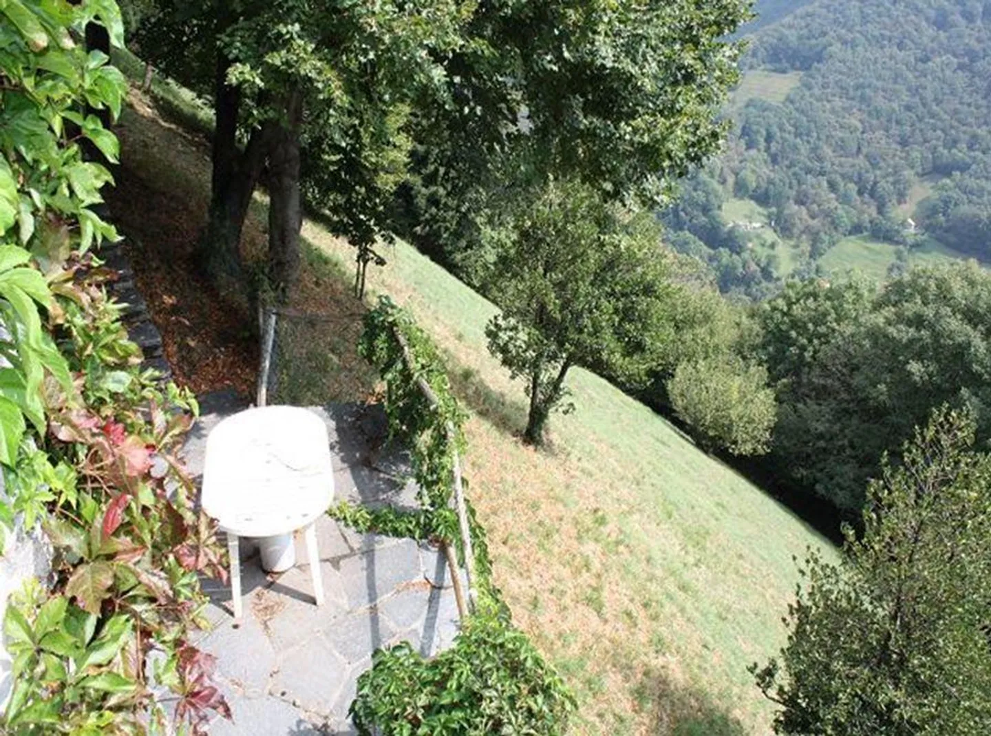 rustico di 5 1/2 locali con 10000 m2 di terreno - Foto 3 di 14