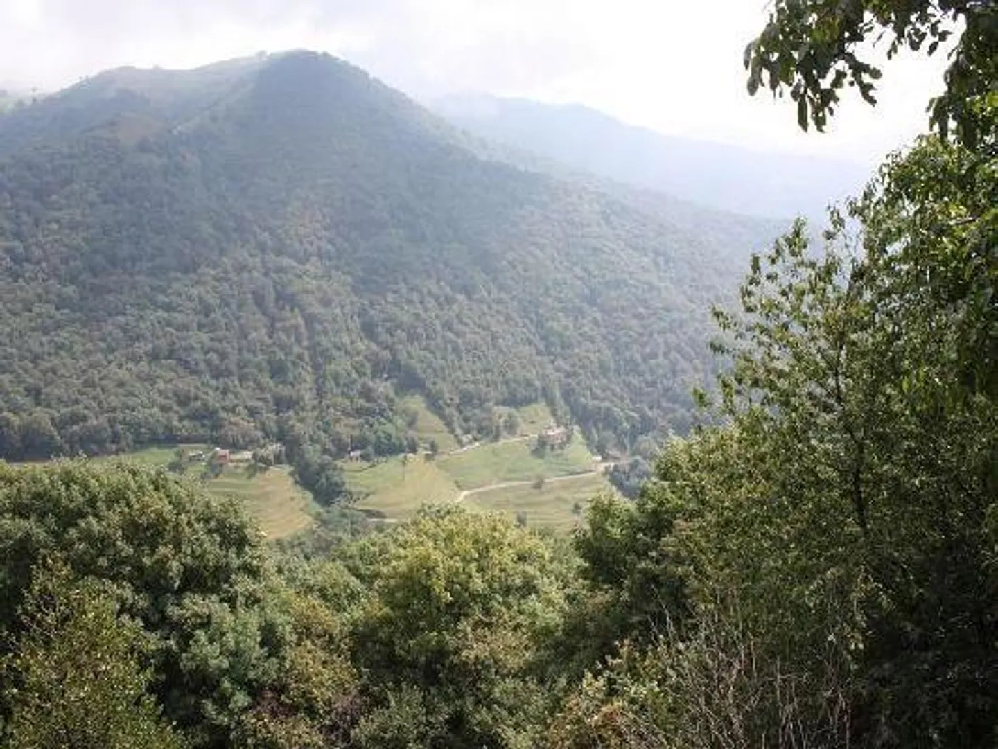rustico di 5 1/2 locali con 10000 m2 di terreno - Foto 6 di 14