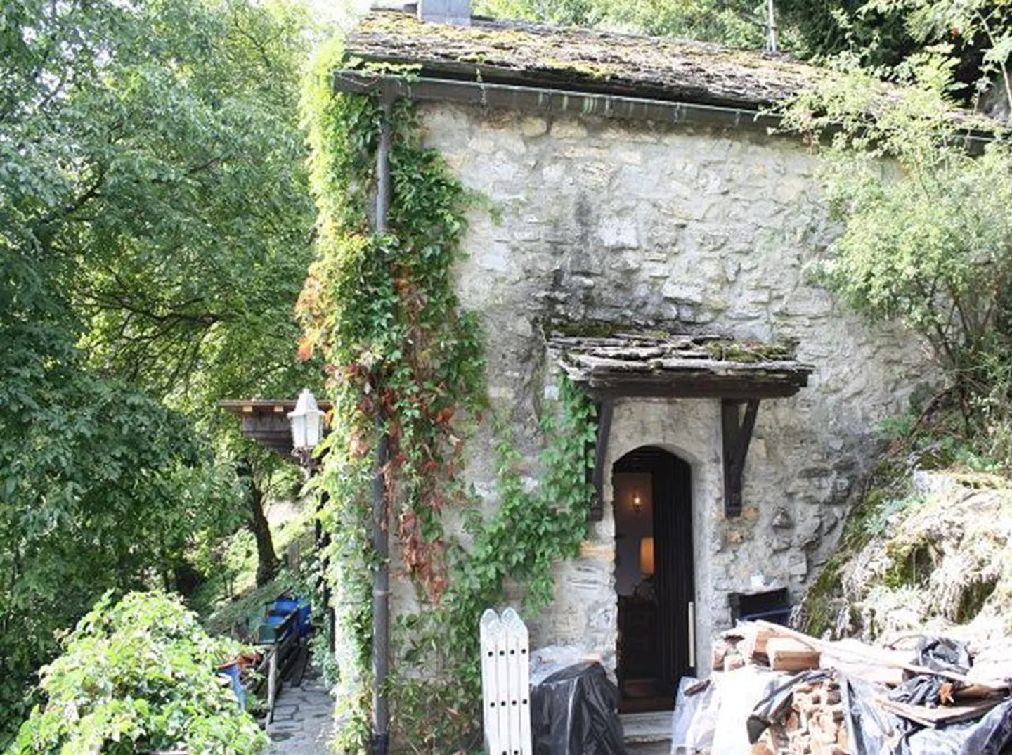 rustico di 5 1/2 locali con 10000 m2 di terreno - Foto 13 di 14