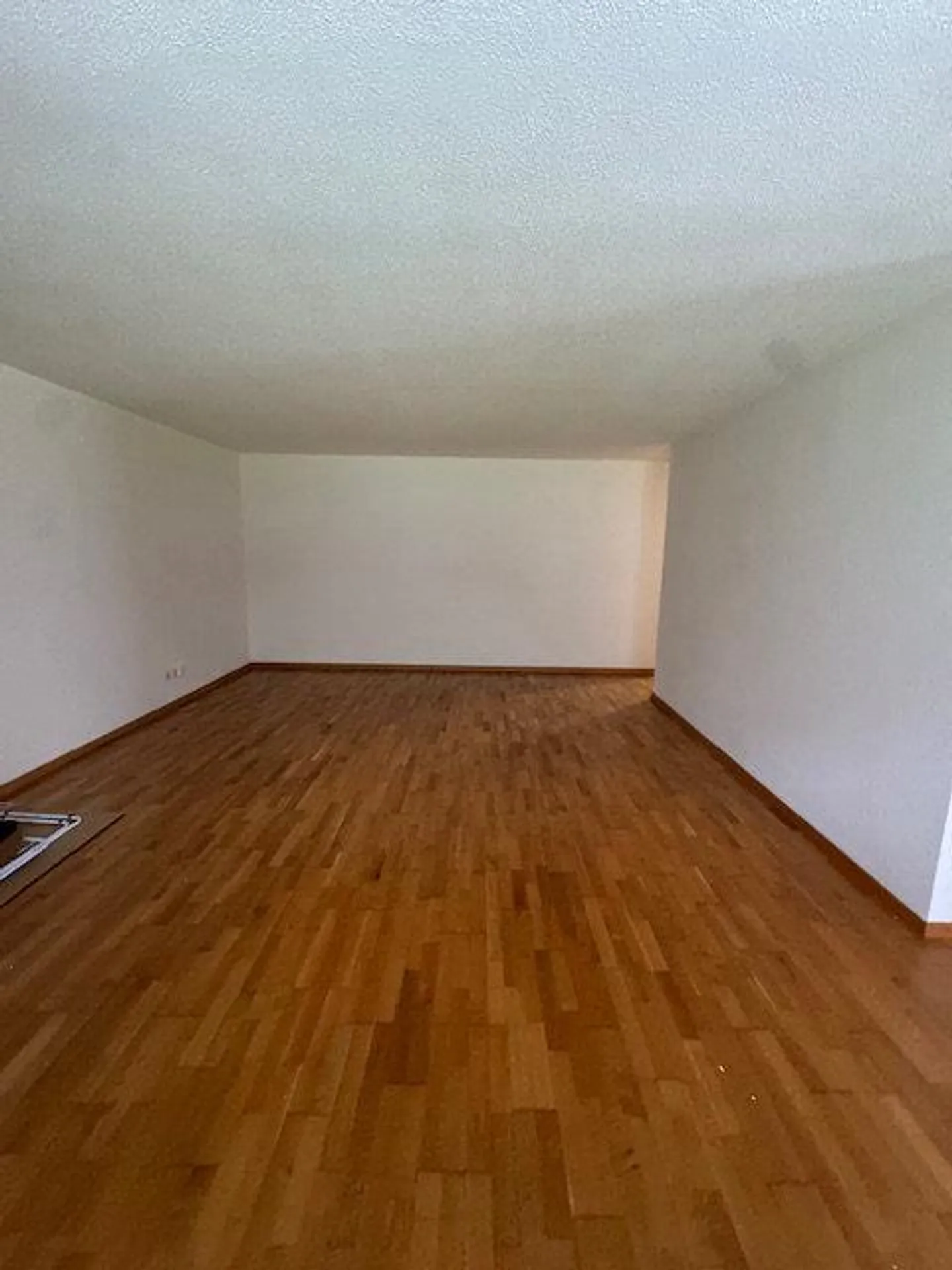 Spacious 2.5 Room Apartment with Garden Patio - Photo 2 of 7