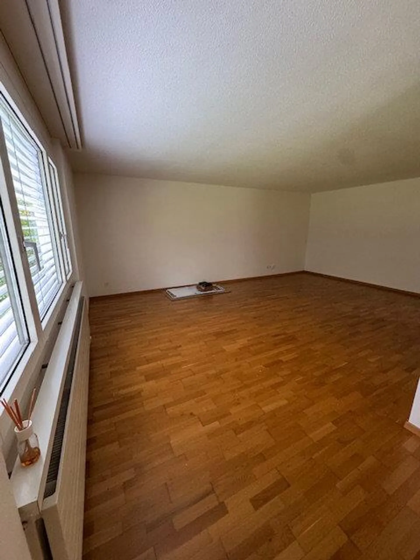 Spacious 2.5 Room Apartment with Garden Patio - Photo 3 of 7