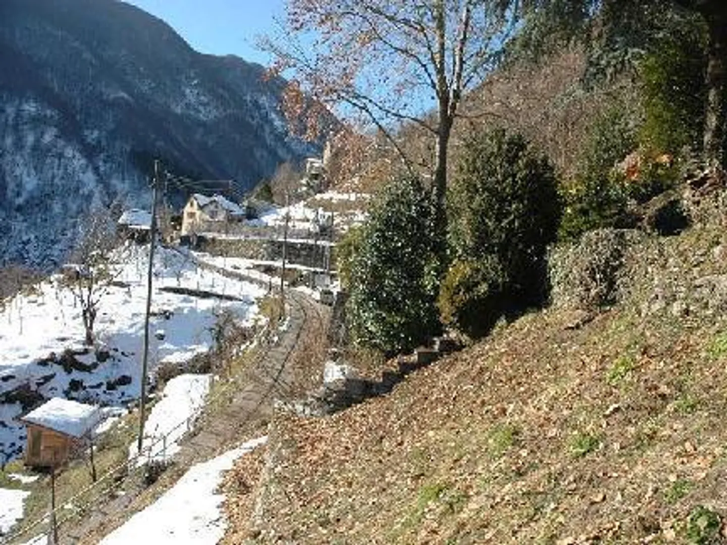 Baugrundstück in Mergoscia - Foto 5 von 11
