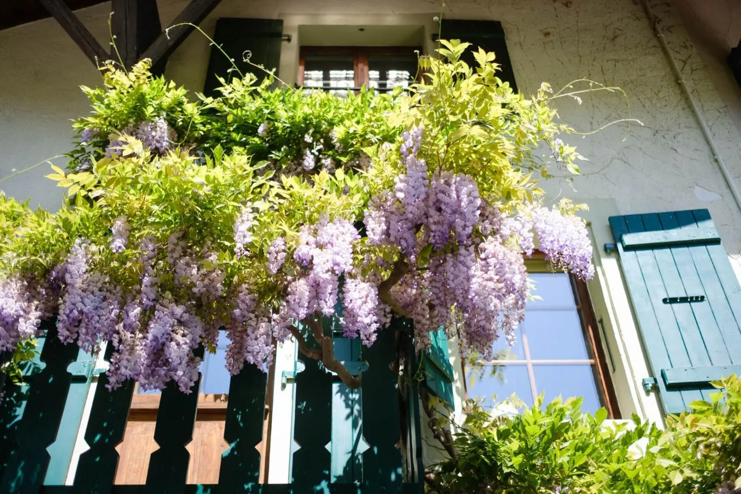 Casa di Villaggio Caratteristica con Giardino Fiancheggiato da Alberi - Foto 11 di 12