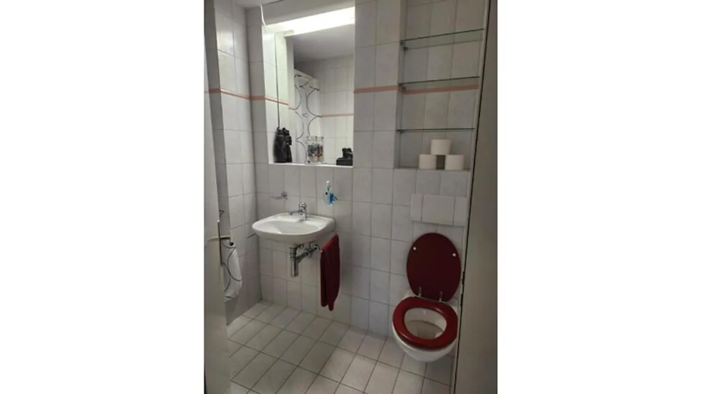 APPARTAMENTO 4½ LOCALI A KÜSSNACHT AM RIGI (SZ), ARREDATO, TEMPORANEO - Foto 6 di 10