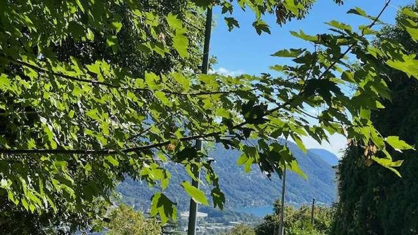 Terreno edificabile Bosco Luganese con vista sul lago - Foto 6 di 8