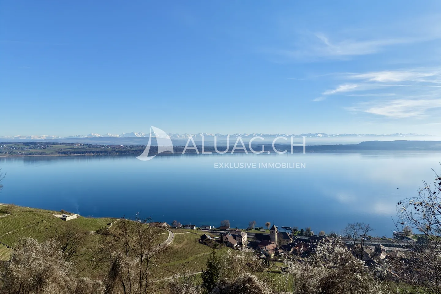 PENTHOUSE APARTMENT WITH DREAMLIKE LAKE VIEW - Photo 3 of 13