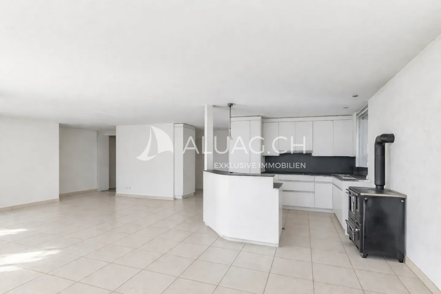 PENTHOUSE APARTMENT WITH DREAMLIKE LAKE VIEW - Photo 4 of 13