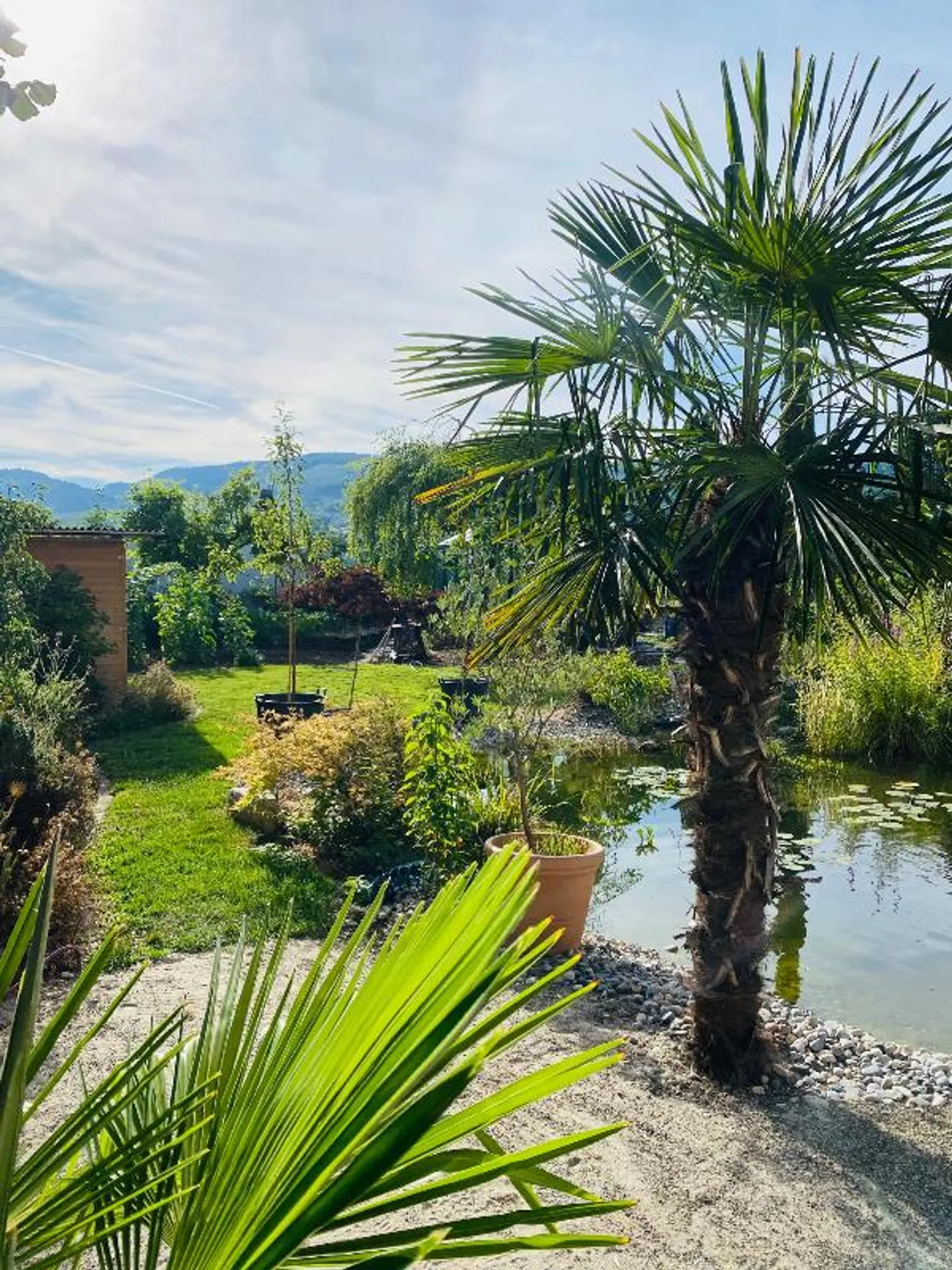 3.5 Room Single Family House - Photo 2 of 5