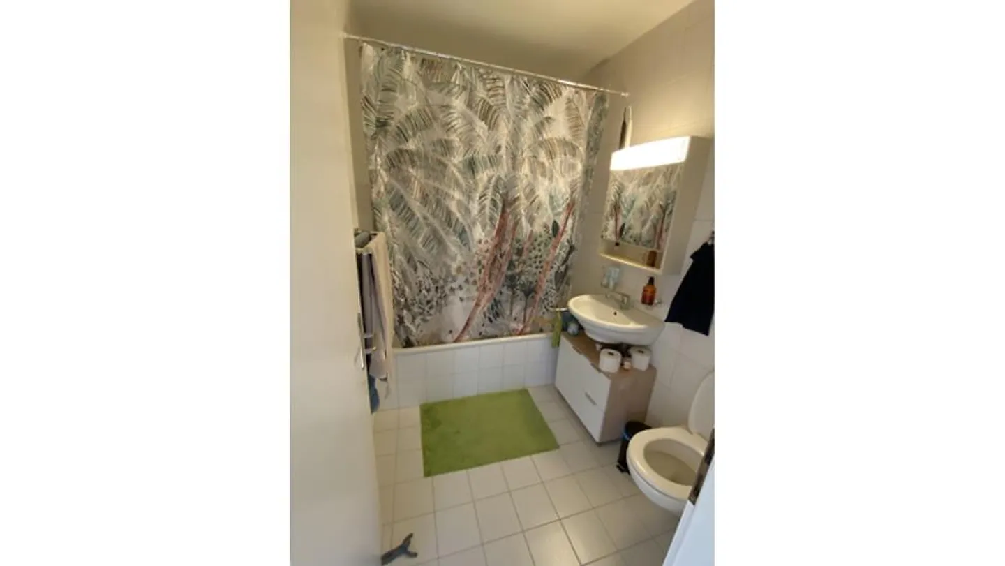 3 ROOM APARTMENT IN BERN - LÄNGGASSE, FURNISHED, TEMPORARY - Photo 5 of 7