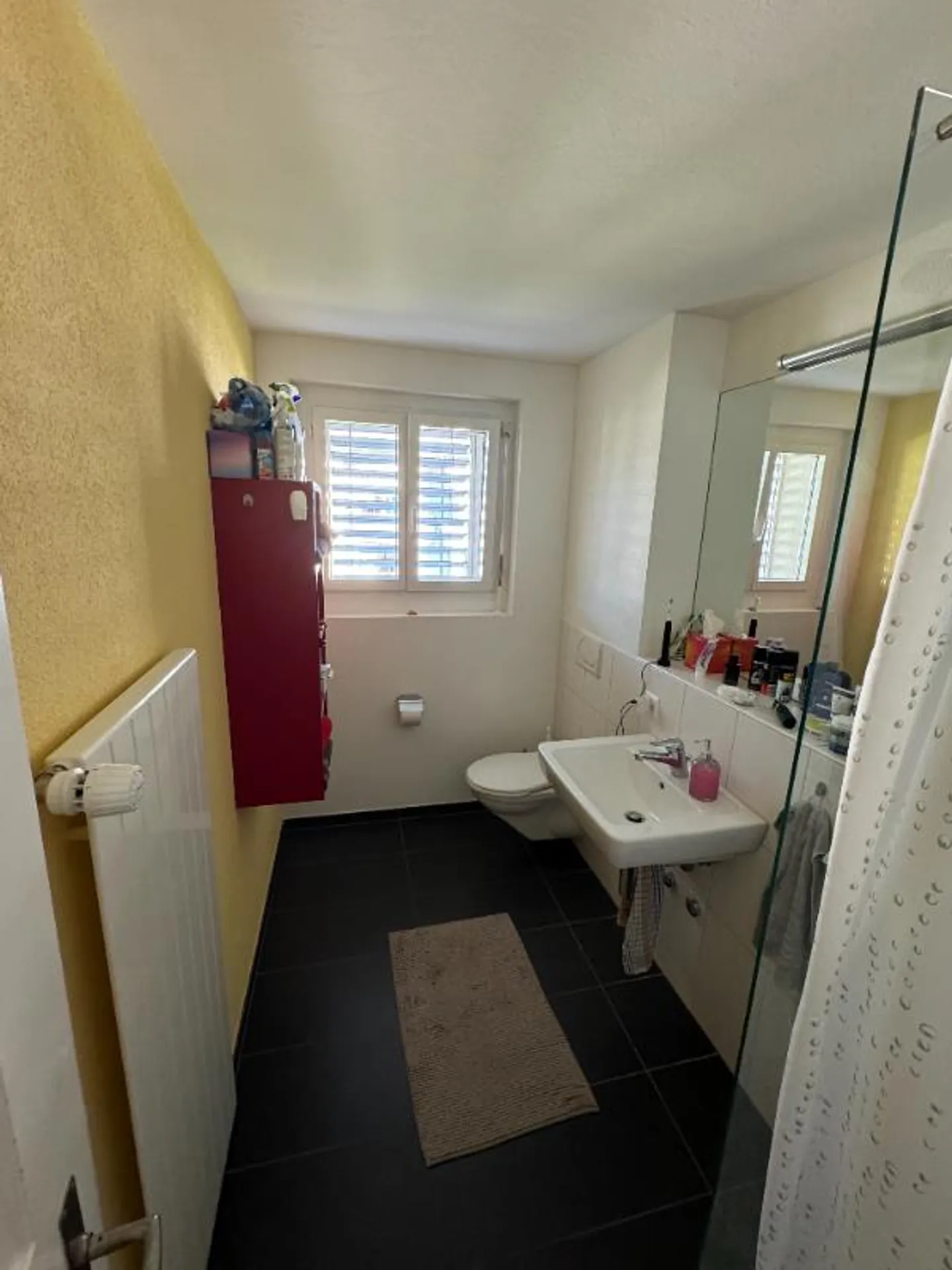 Appartamento 3.5 stanze - Foto 4 di 5