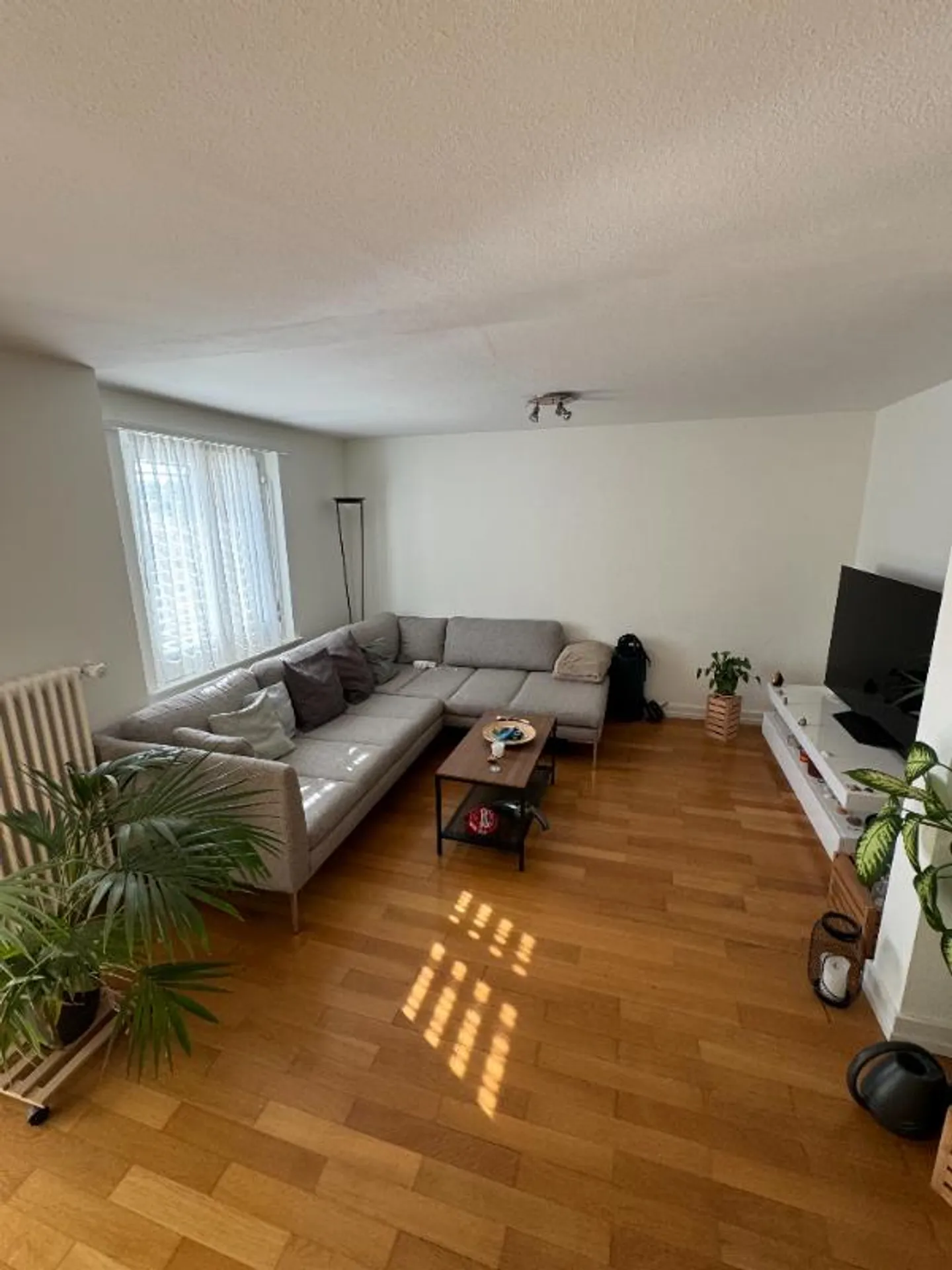 Appartamento 3.5 stanze - Foto 2 di 5