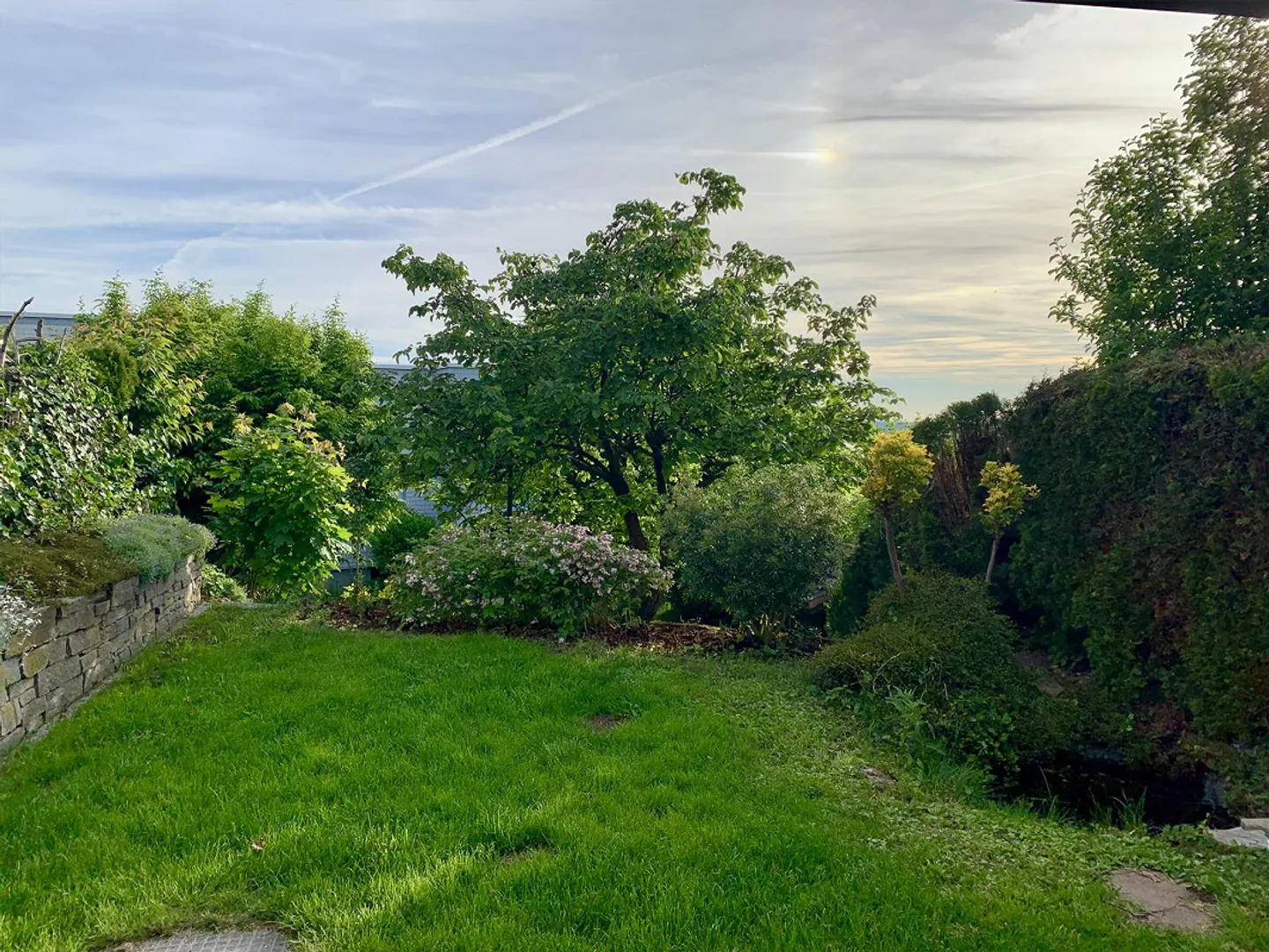 Maison individuelle en rangée de 5,5 pièces dans la verdure aux portes de Zurich - Photo 5 sur 7