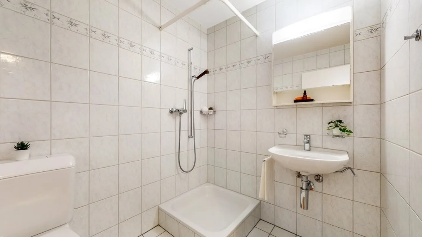 Spacious 4.5-Room Apartment - Photo 8 of 11