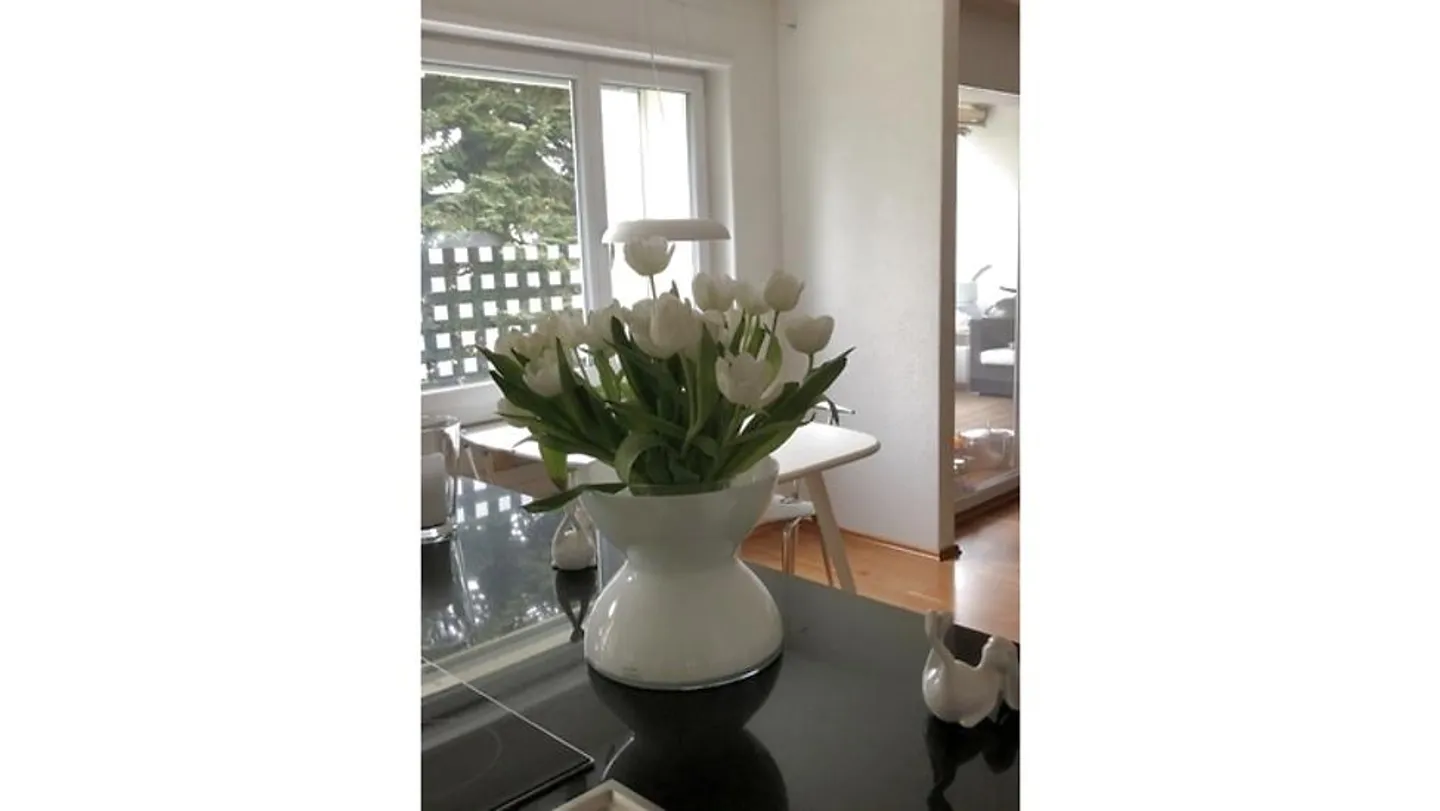 5½ ROOM APARTMENT IN OSTERMUNDIGEN (BE), FURNISHED, TEMPORARY - Photo 13 of 14