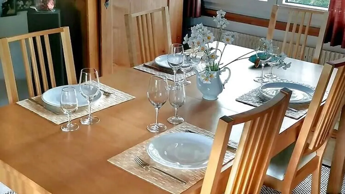 4½ ROOM HOUSE IN HEIDEN (AR), FURNISHED, TEMPORARY - Photo 4 of 10