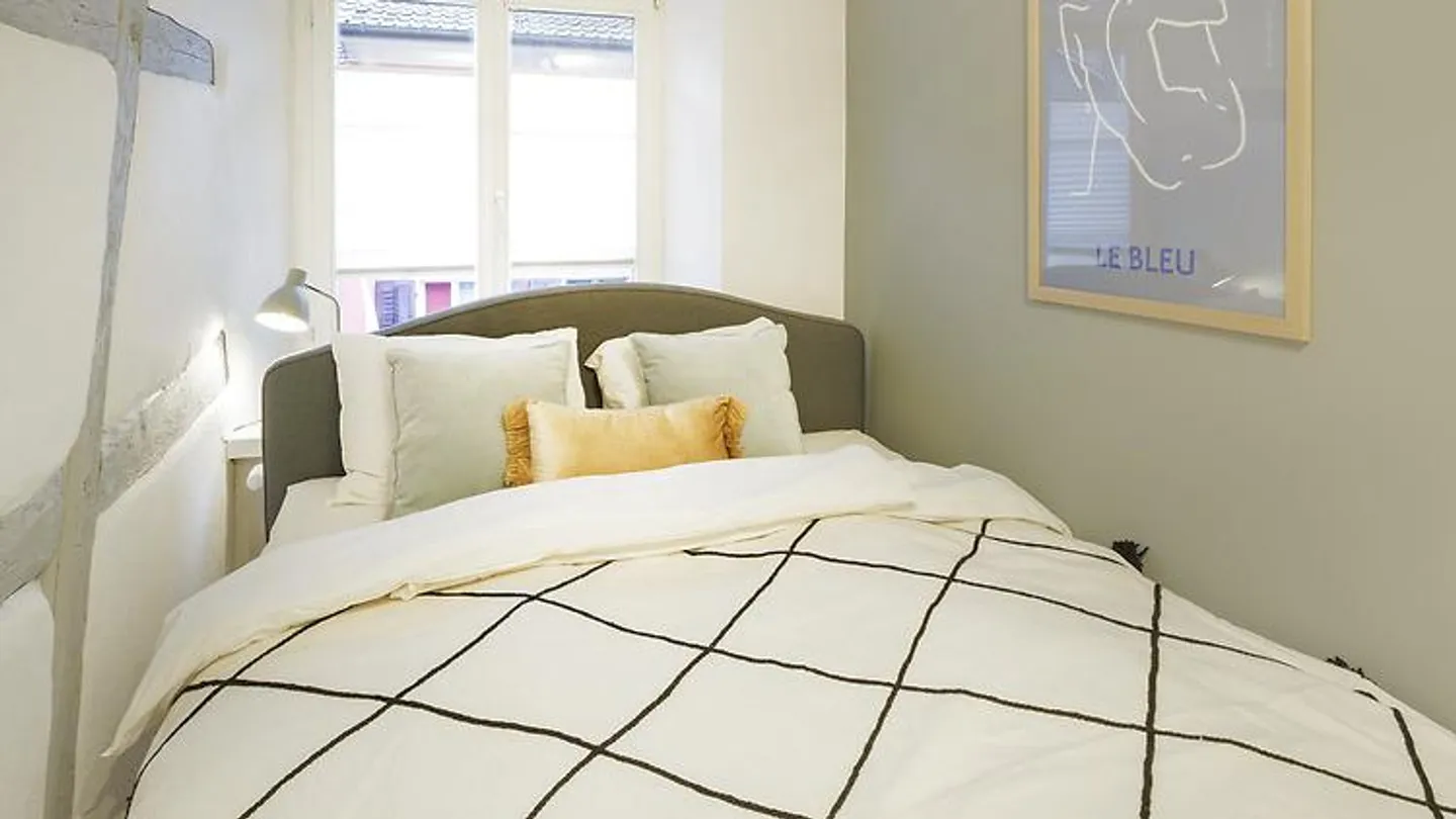 APPARTEMENT 2 PIÈCES À STECKBORN (TG), MEUBLÉ - Photo 4 sur 8