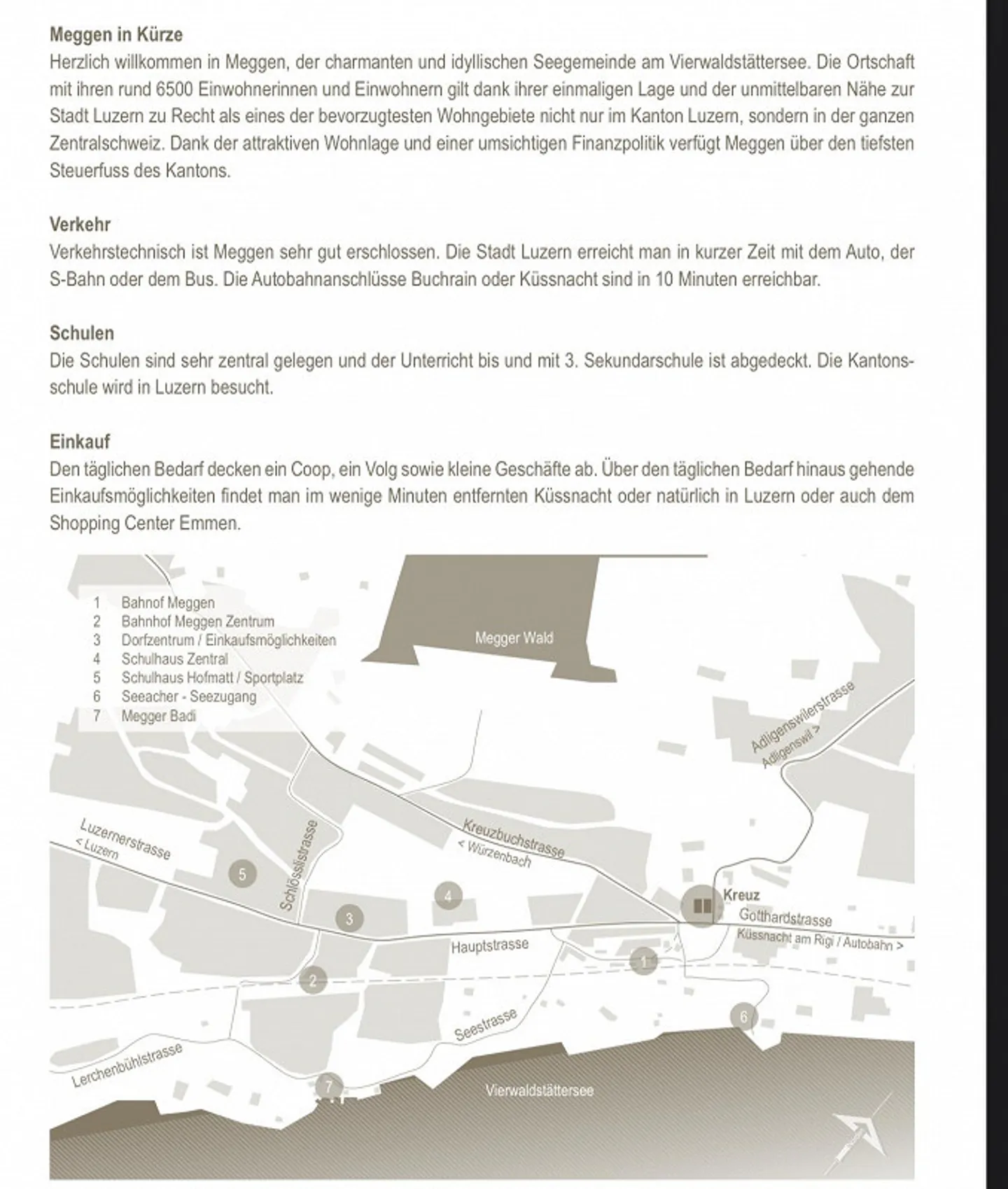 Appartamento 2,5 locali cerca nuovo inquilino nel bel Meggen LU - Foto 7 di 14