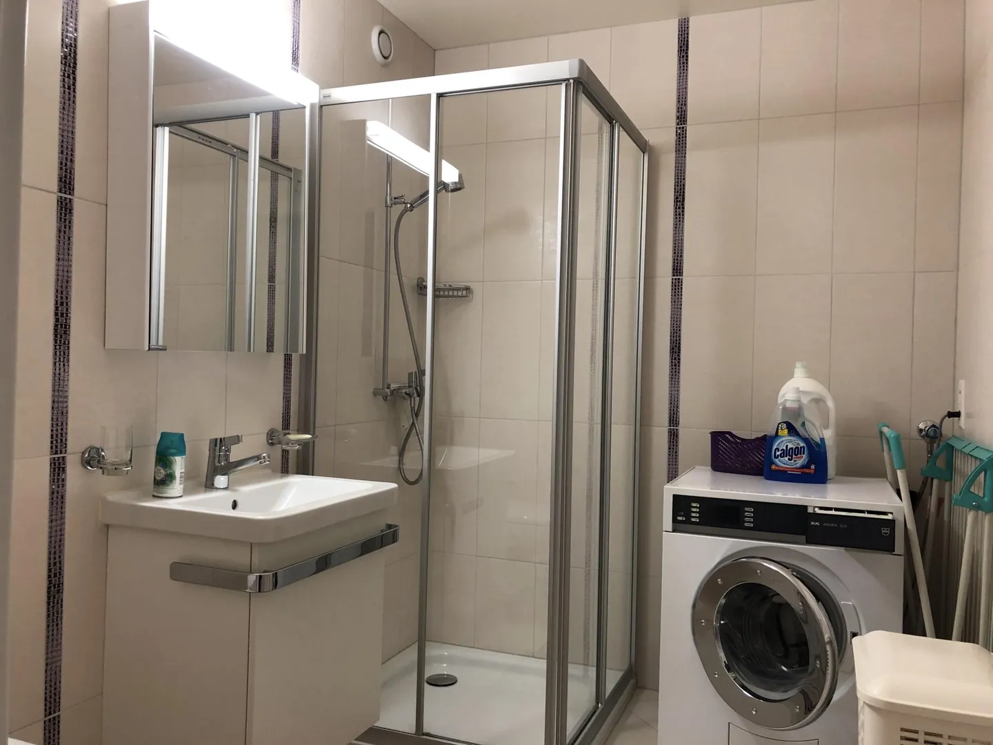 Furnished apartment for rent - Photo 9 of 10