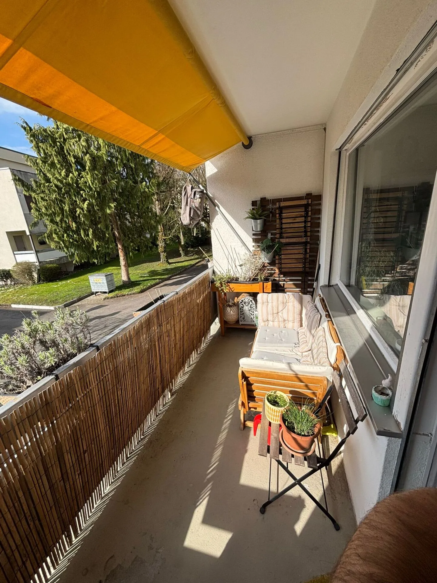 Vivere direttamente sulla Zihl - Foto 7 di 7