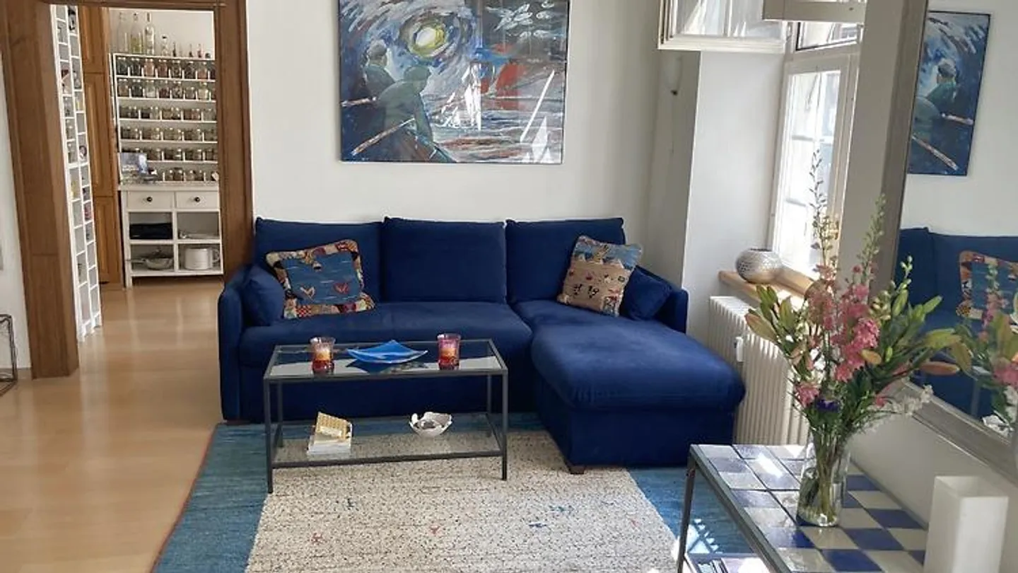 APPARTAMENTO 3½ STANZE A BASEL - CITTÀ VECCHIA/GROSSBASEL, ARREDATO, TEMPORANEO - Foto 1 di 10