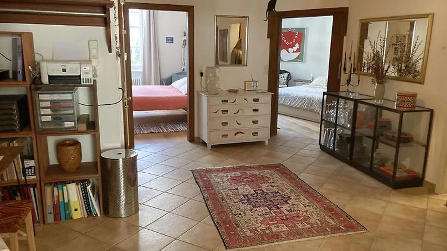 APPARTAMENTO 3½ STANZE A BASEL - CITTÀ VECCHIA/GROSSBASEL, ARREDATO, TEMPORANEO - Foto 5 di 10