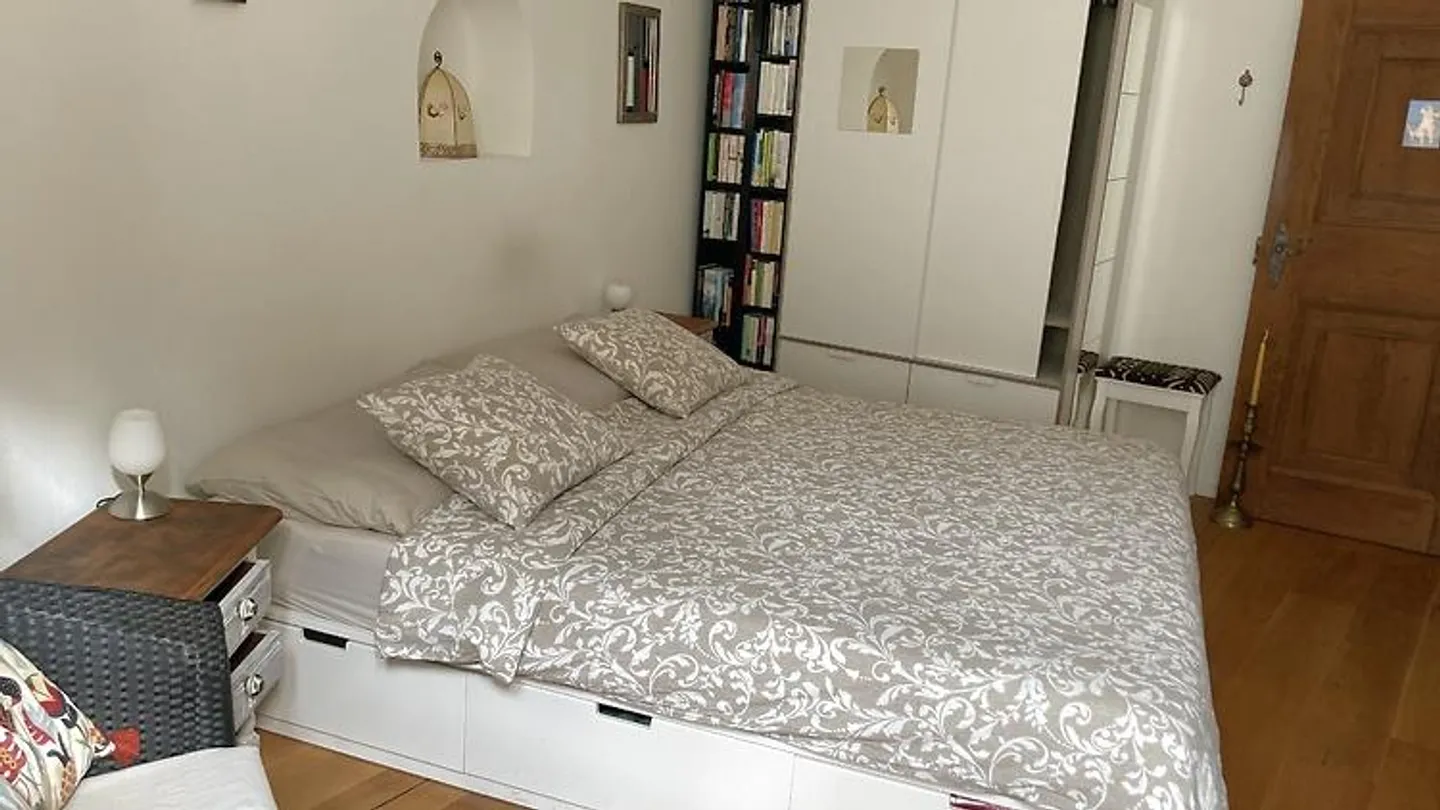 APPARTAMENTO 3½ STANZE A BASEL - CITTÀ VECCHIA/GROSSBASEL, ARREDATO, TEMPORANEO - Foto 7 di 10