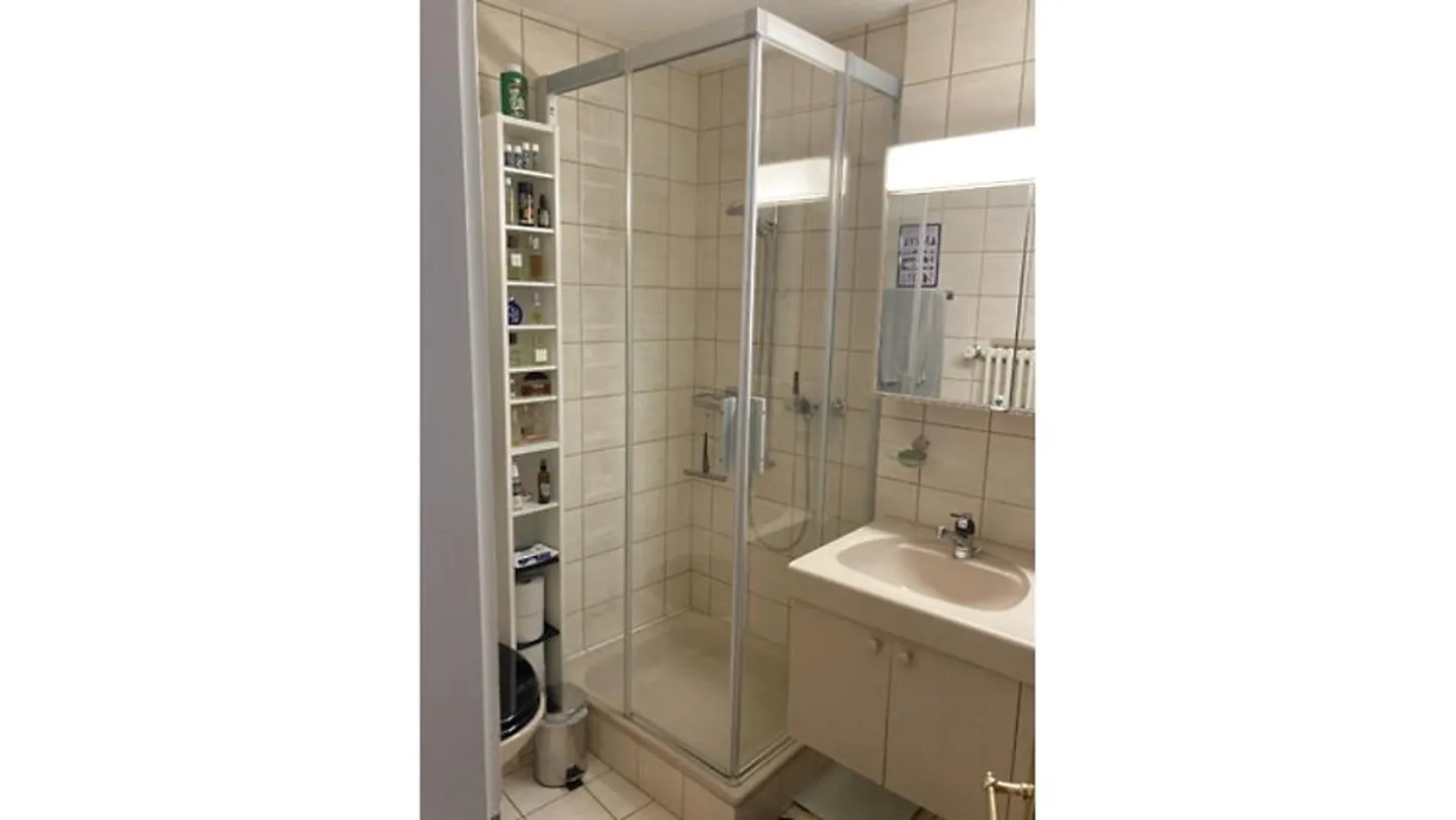 APPARTAMENTO 3½ STANZE A BASEL - CITTÀ VECCHIA/GROSSBASEL, ARREDATO, TEMPORANEO - Foto 10 di 10