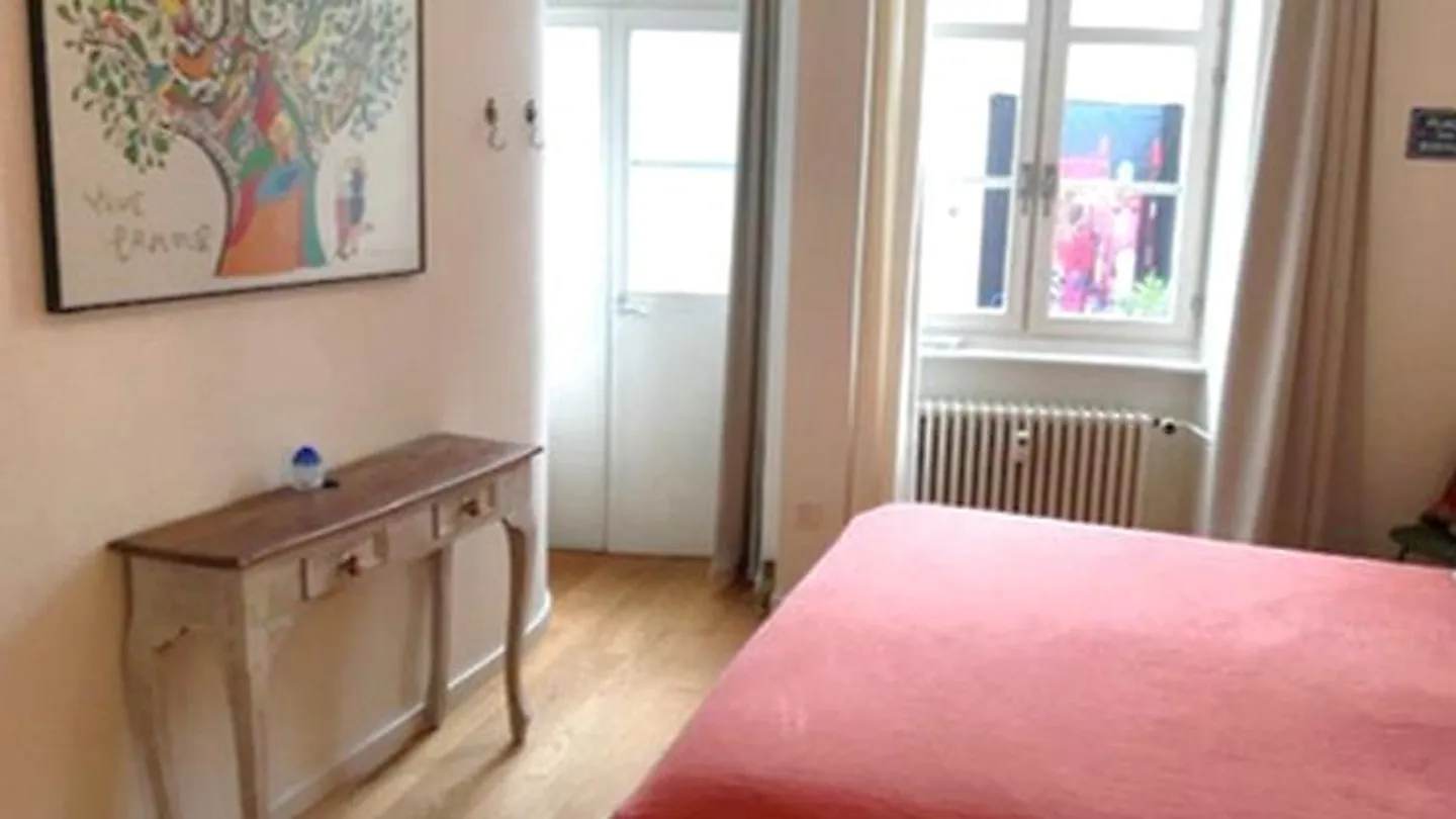 APPARTAMENTO 3½ STANZE A BASEL - CITTÀ VECCHIA/GROSSBASEL, ARREDATO, TEMPORANEO - Foto 8 di 10