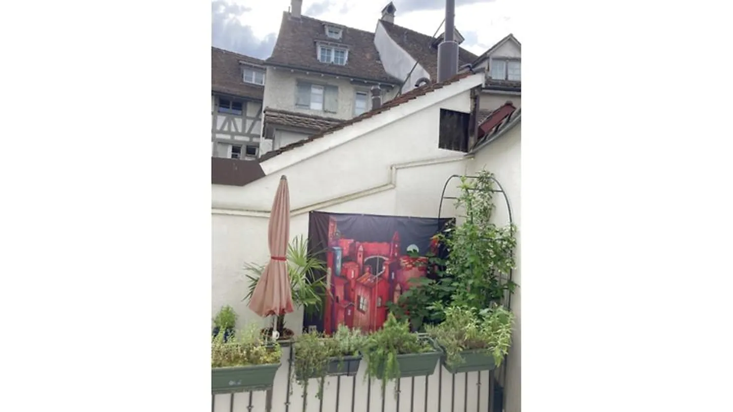 APPARTAMENTO 3½ STANZE A BASEL - CITTÀ VECCHIA/GROSSBASEL, ARREDATO, TEMPORANEO - Foto 9 di 10